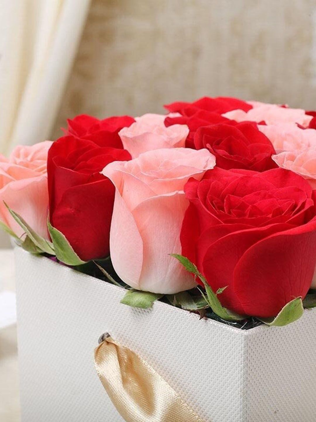 花鹿　0 Buy Floweraura Pink & Red 20 Pieces Roses Fresh Flower Bouquet