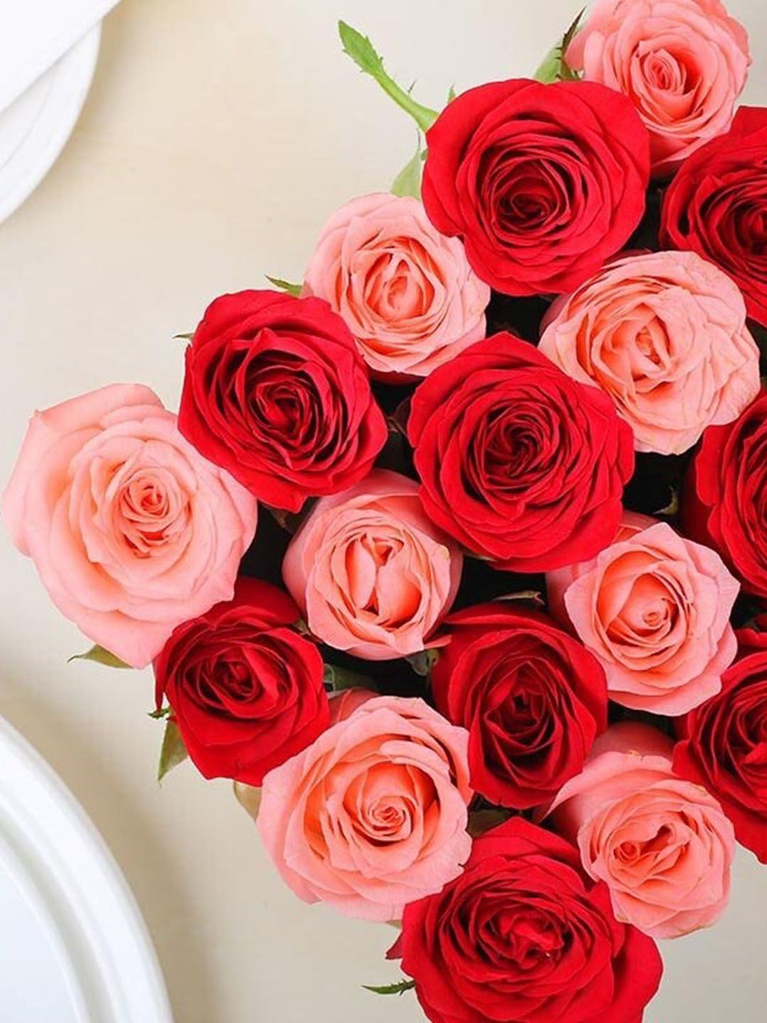 Buy Floweraura Pink & Red 20 Pieces Roses Fresh Flower Bouquet