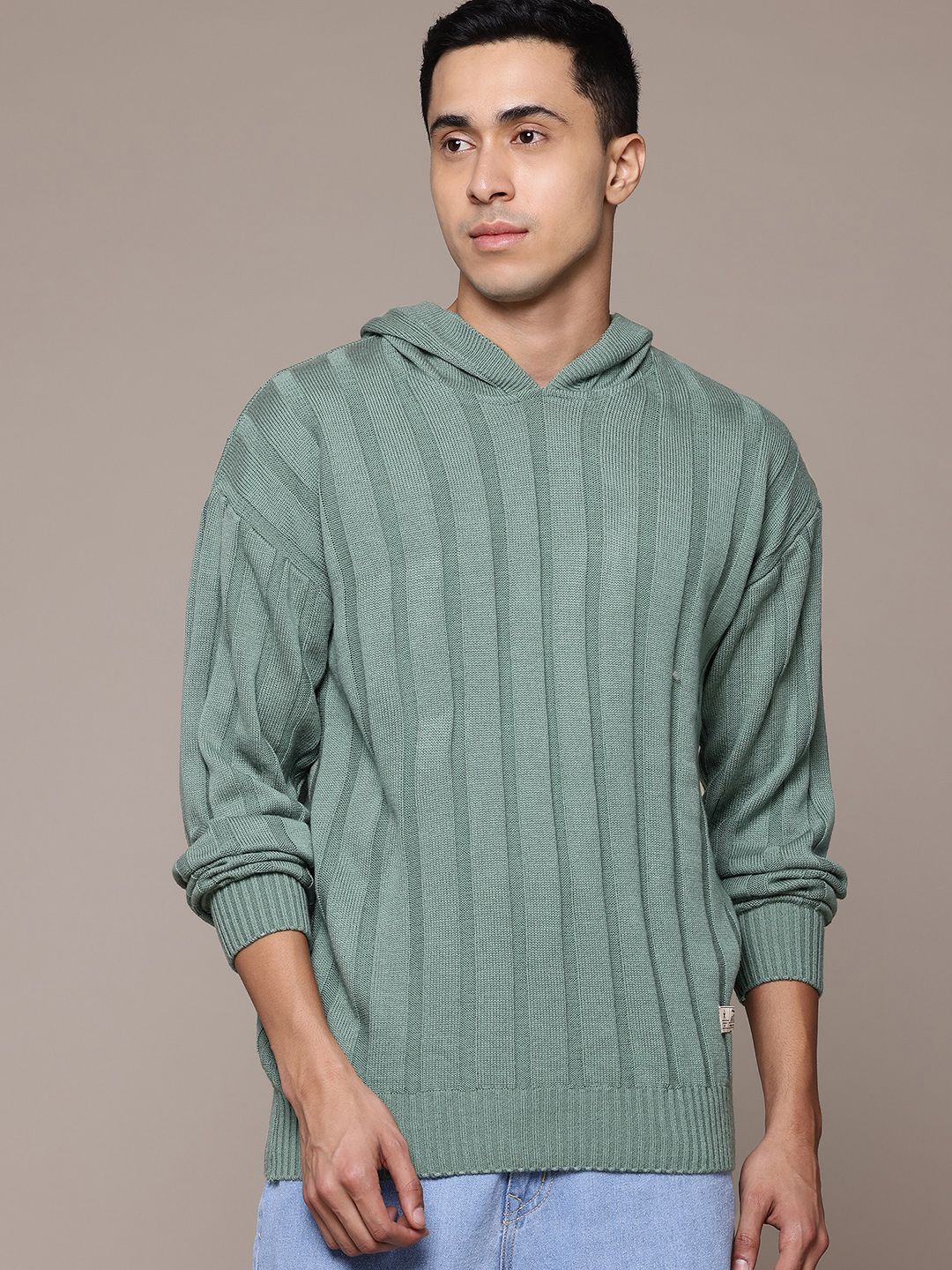 The Roadster Lifestyle Co. Self-Striped Hooded Pullover