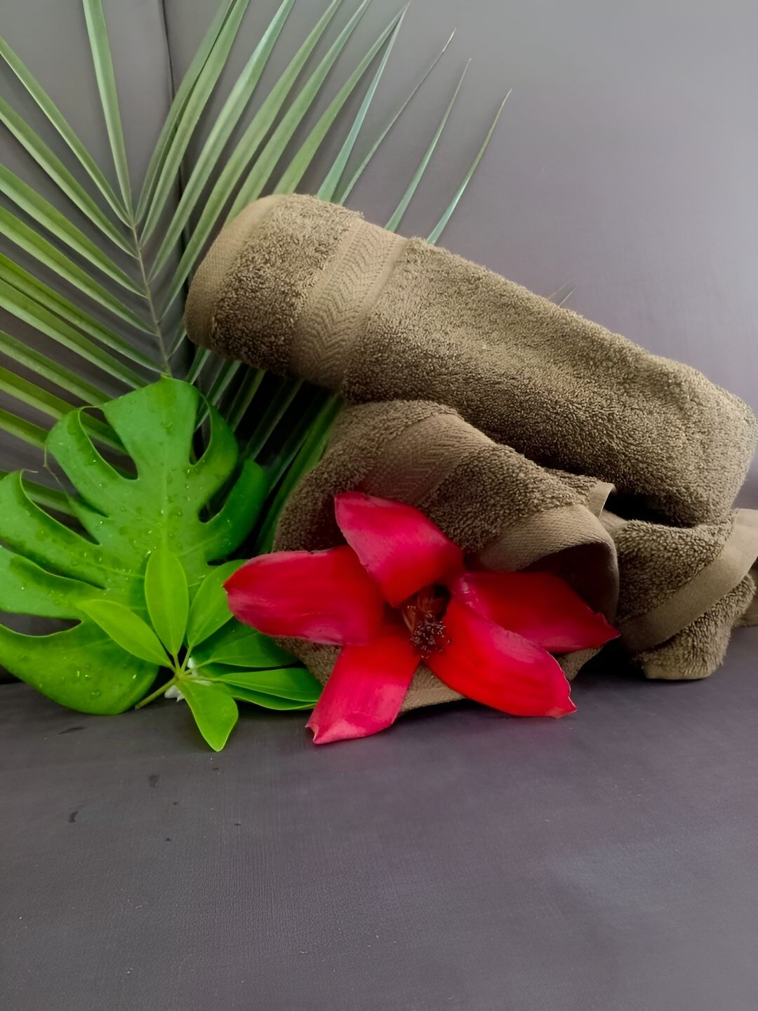 GAB Brown 2 Pieces 500 GSM Pure Cotton Hand Towels