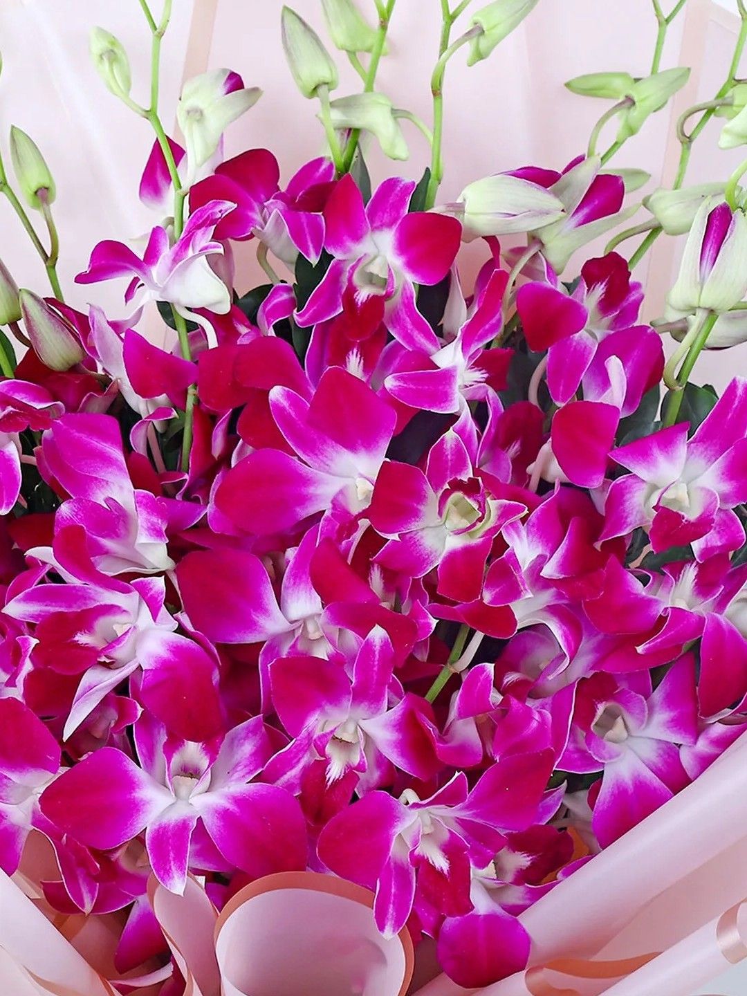 Buy fnp Purple & Green10Pieces Orchids Fresh Flowers Bouquet