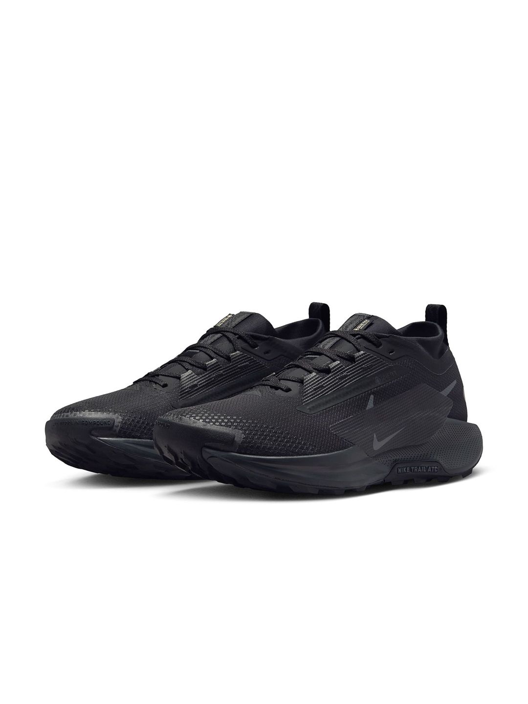 Buy Nike Pegasus Trail 5 GORE-TEX Men's Trail Running Shoes