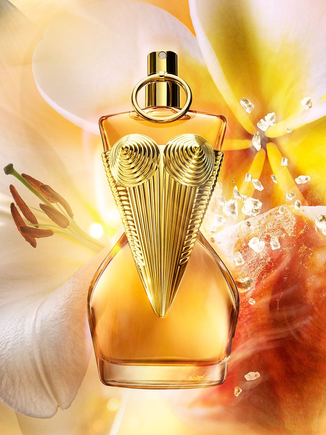 ニソニソ 　jean paul gaultier femmeスーパーロン Buy Jean Paul Gaultier Women Gaultier Divine Le Parfum - 100 ml