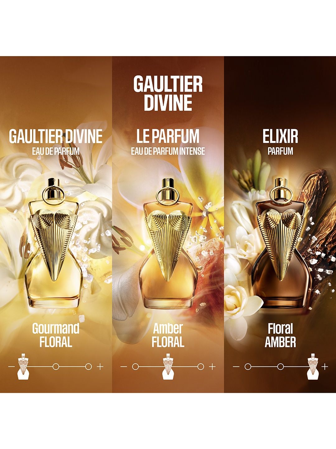 Buy Jean Paul Gaultier Women Gaultier Divine Le Parfum - 100 ml