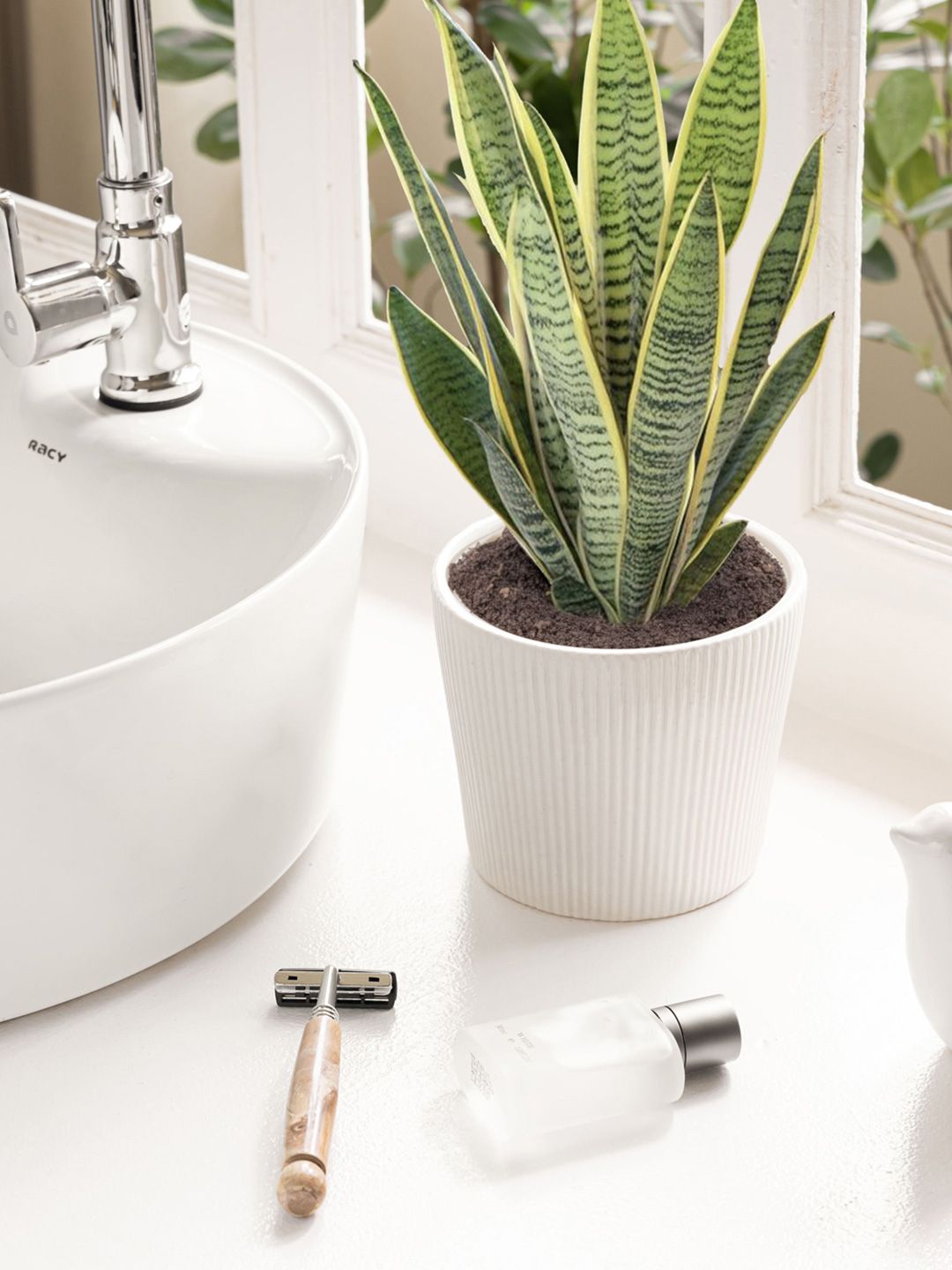 Claymistry White 2 Pieces Textured Ceramic Flower Planter