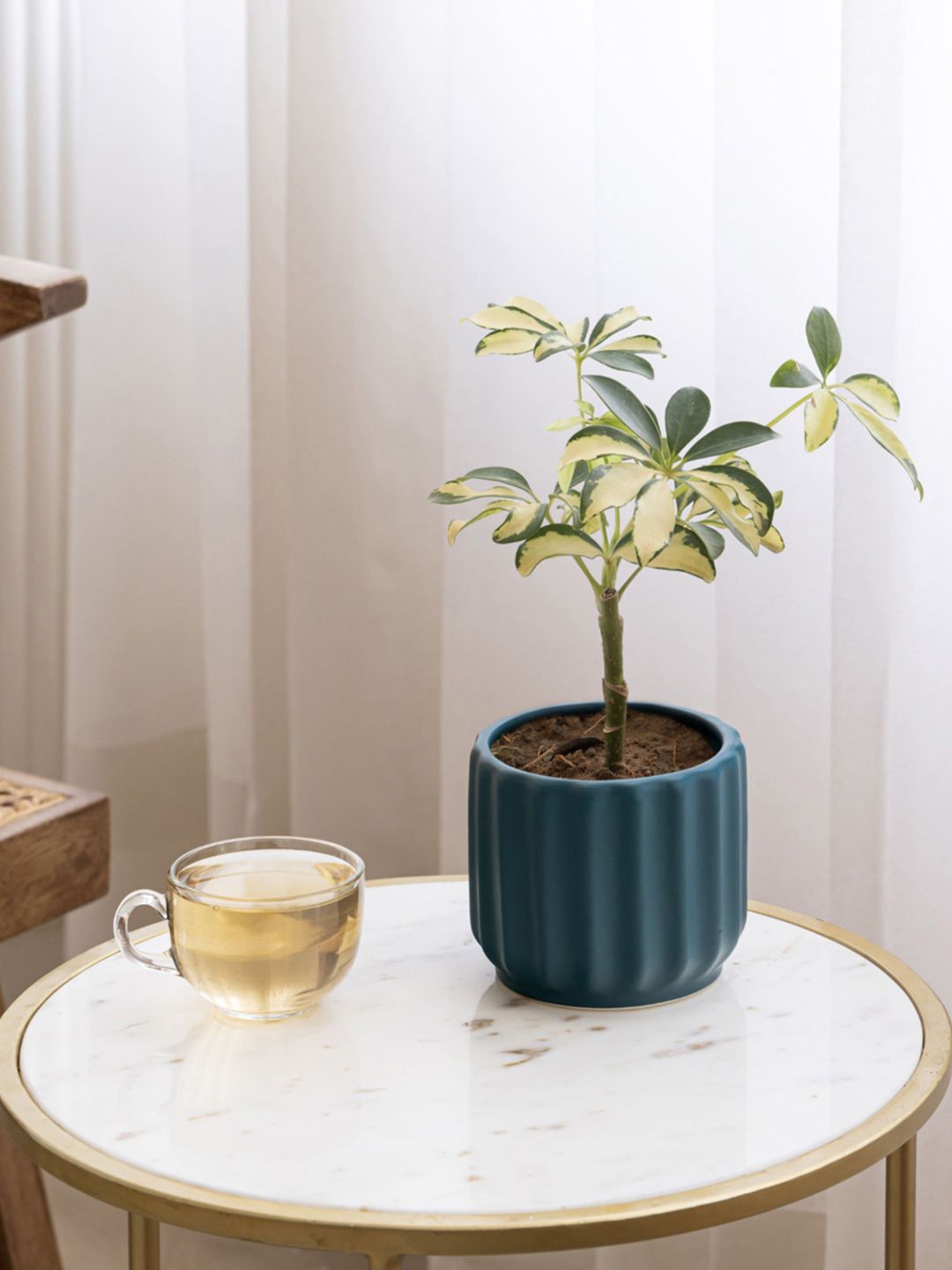 Claymistry Sea Green 2 Pieces Textured Ceramic Flower Planter