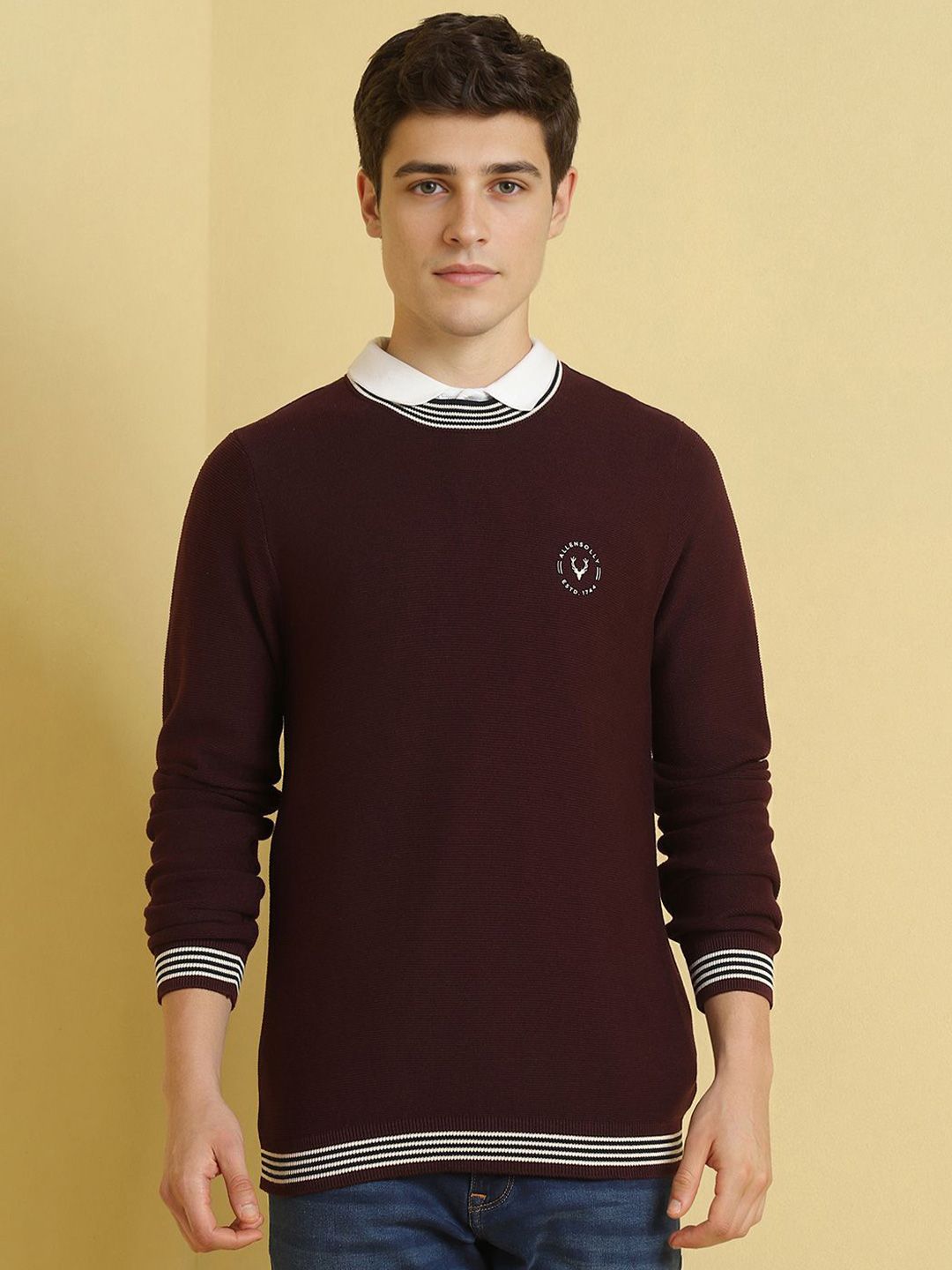 Allen Solly Men Round Neck Pullover Sweaters