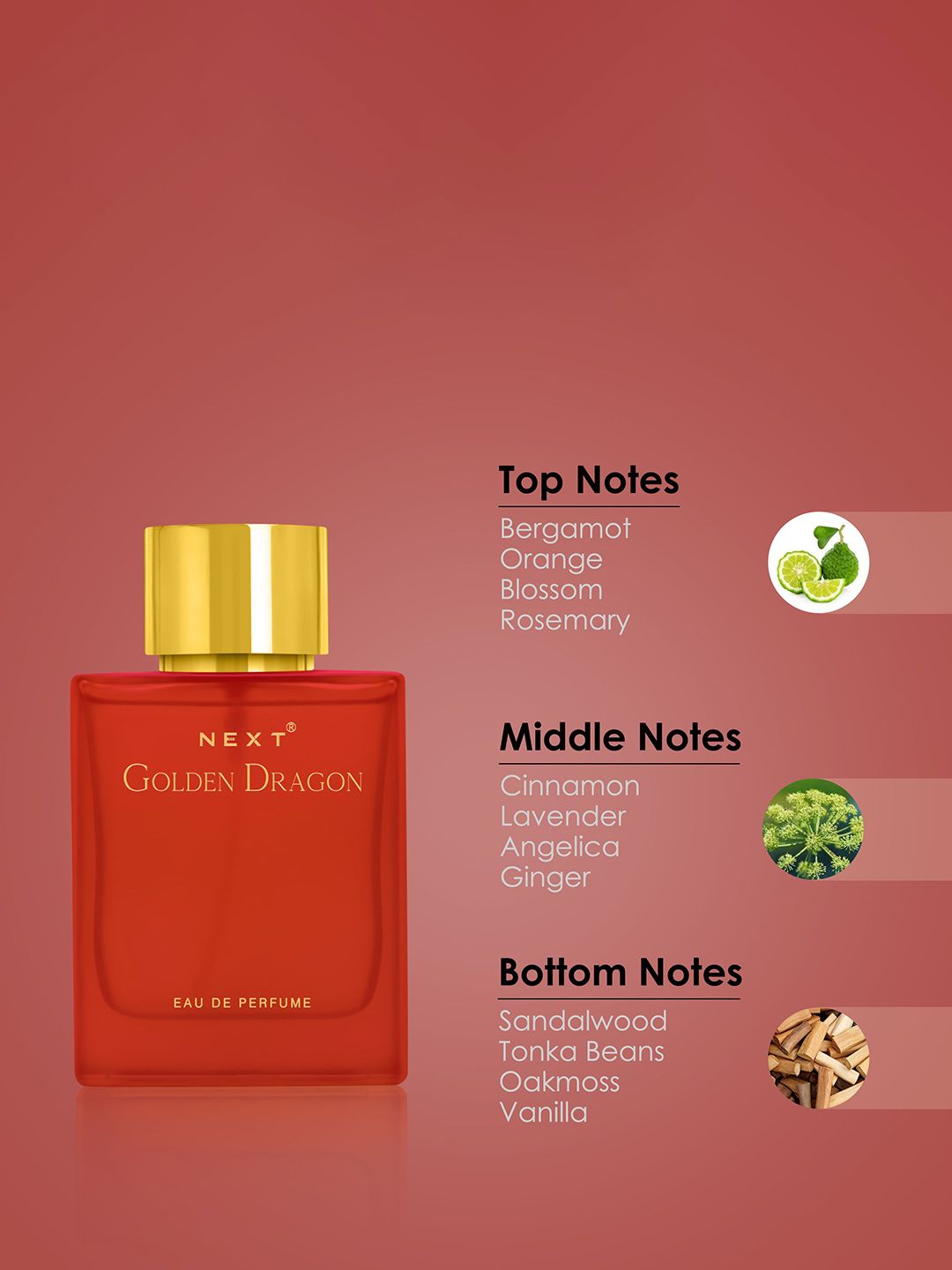 Buy NEXT CARE Men Golden Dragon Eau De Parfum - 100 ml - Perfume