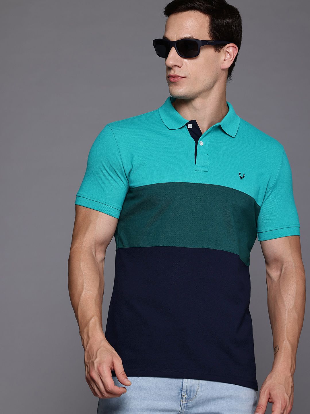 Allen Solly Colourblock Polo Collar T-shirt