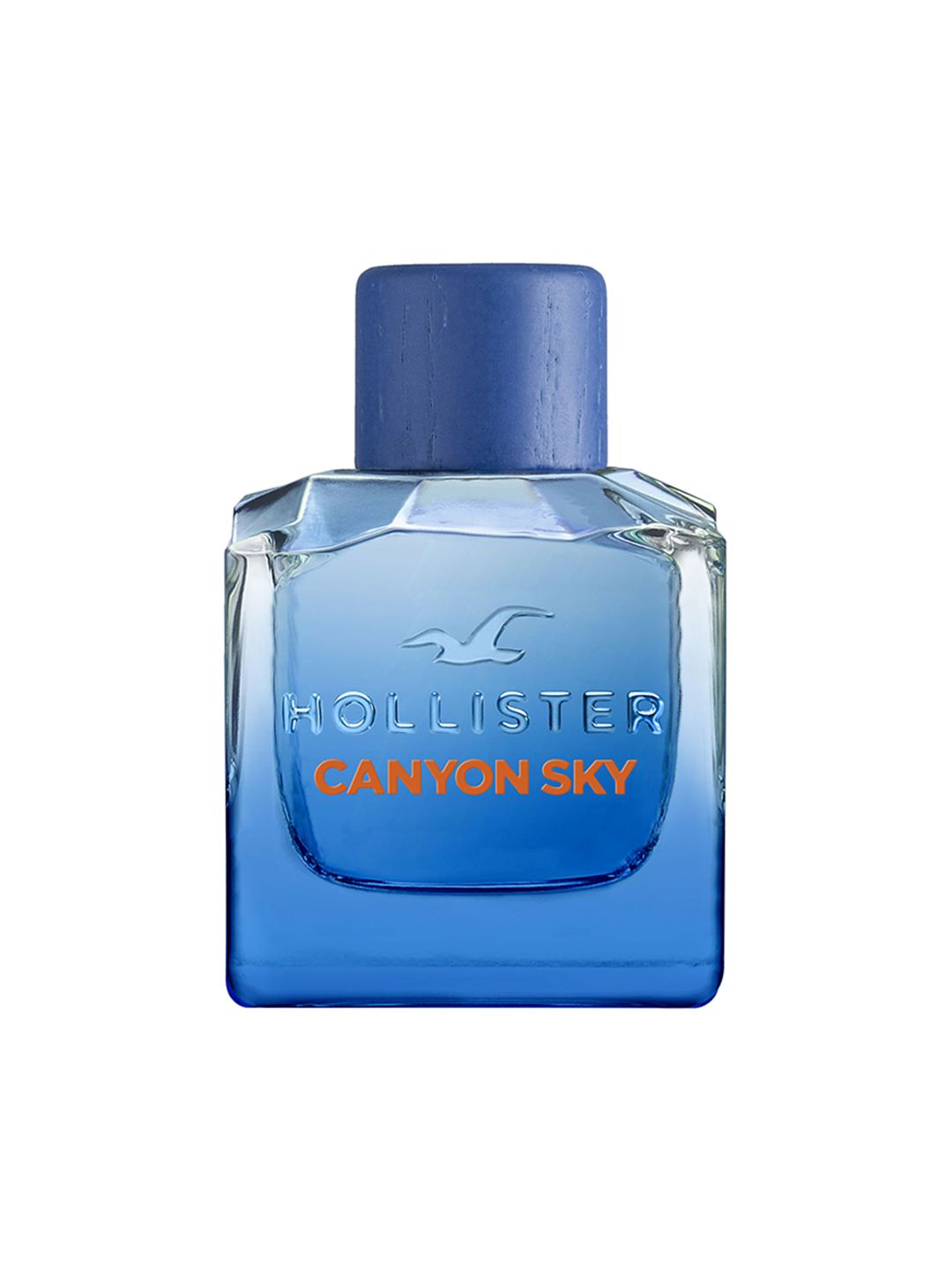 HOLLISTER Men Canyon Sky Long Lasting Eau de Parfum - 100 ml