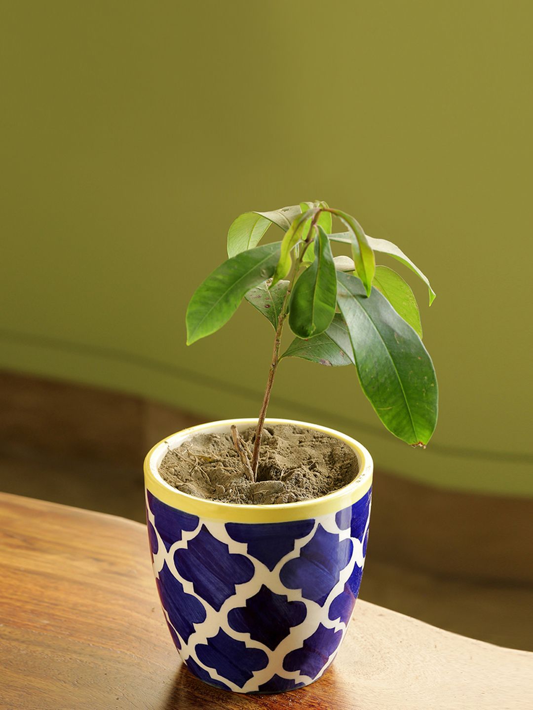 ExclusiveLane White & Blue The Morocco Pod Ceramic Handpainted Table Planter Price in India