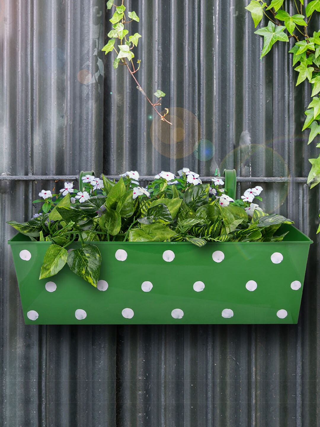green girgit Green & White Metal Polka Dot Rectangular Planter Price in India
