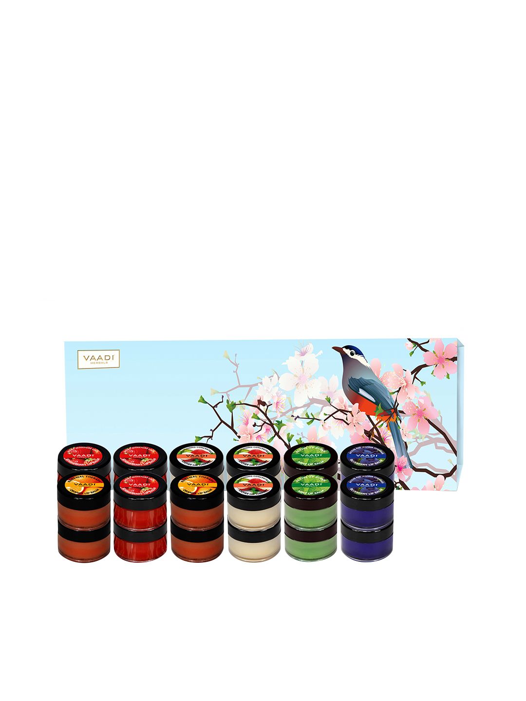 Vaadi Herbals Unisex Gift Box Of 24 Premium Lip Balm 10 g each Price in India