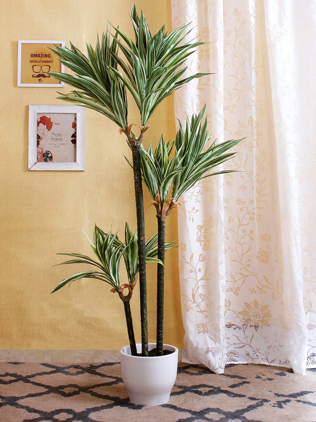 Fourwalls Green & White Artificial Dracaena Floor Plant Without Pot Price in India