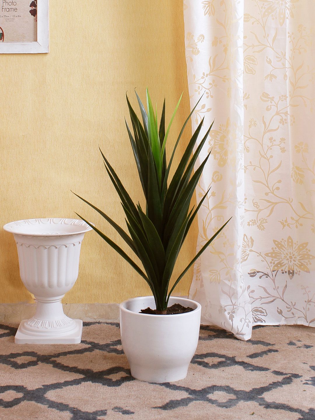 Fourwalls Green Artificial Yucca Plant Without Pot Price in India