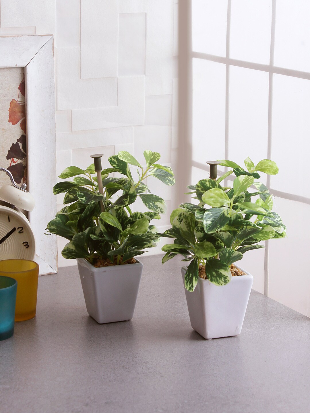 Fourwalls Set of 2 Green Artificial Wandering Plants Price in India
