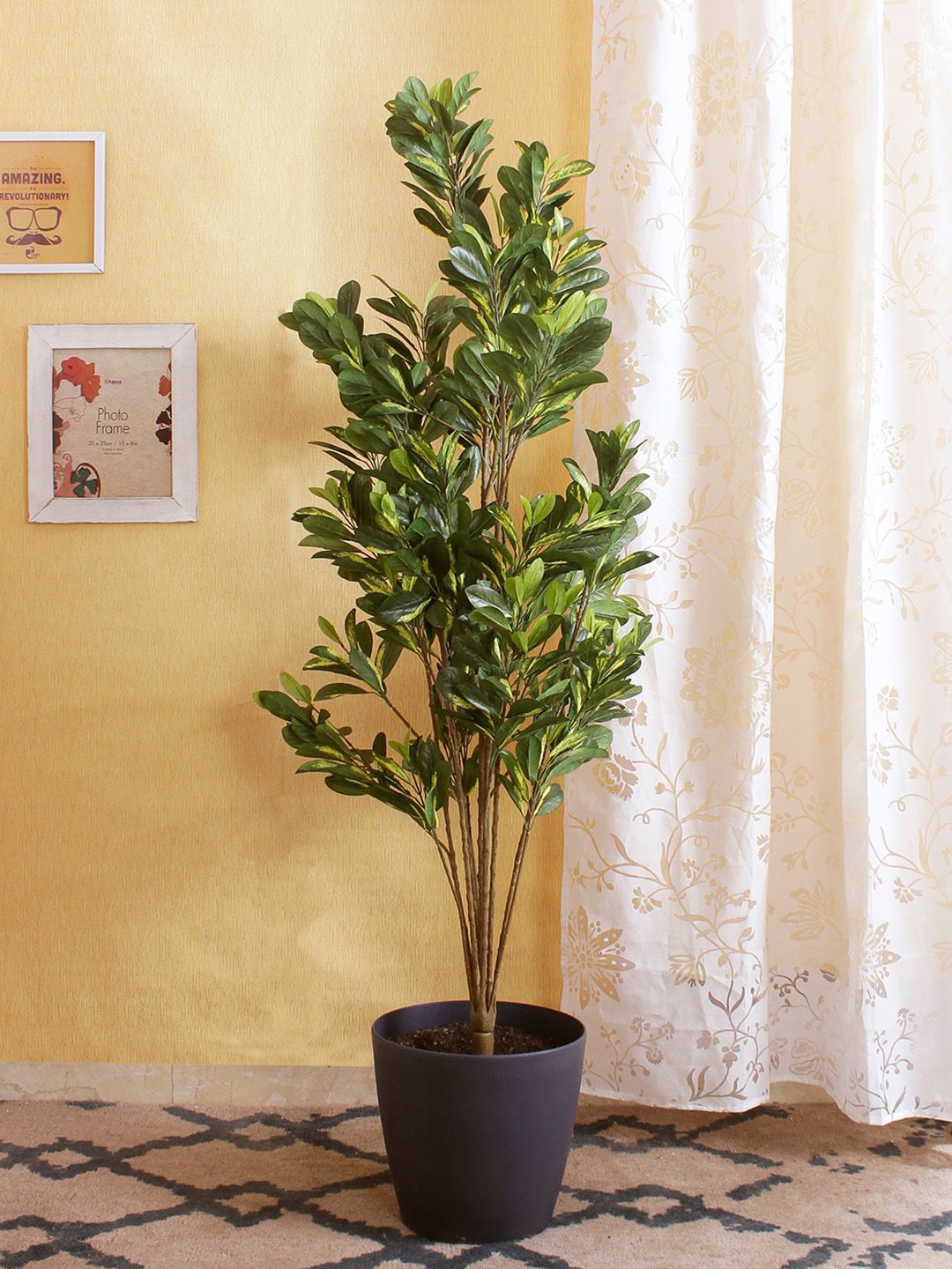 Fourwalls Green Artificial Schefflera Floor Plant Without Pot Price in India