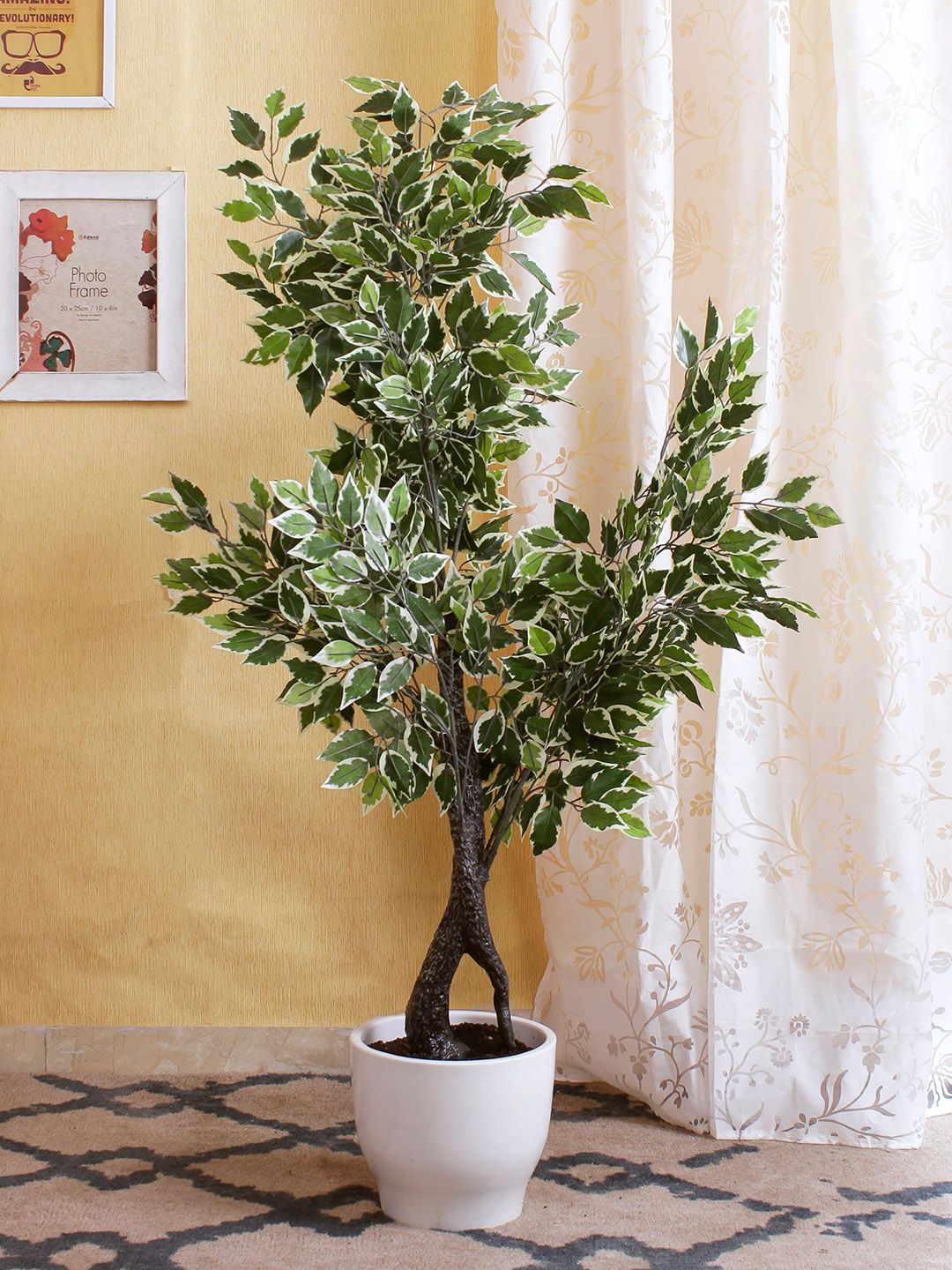 Fourwalls Green & Off-White Artificial Ficus Plant Without Pot Price in India