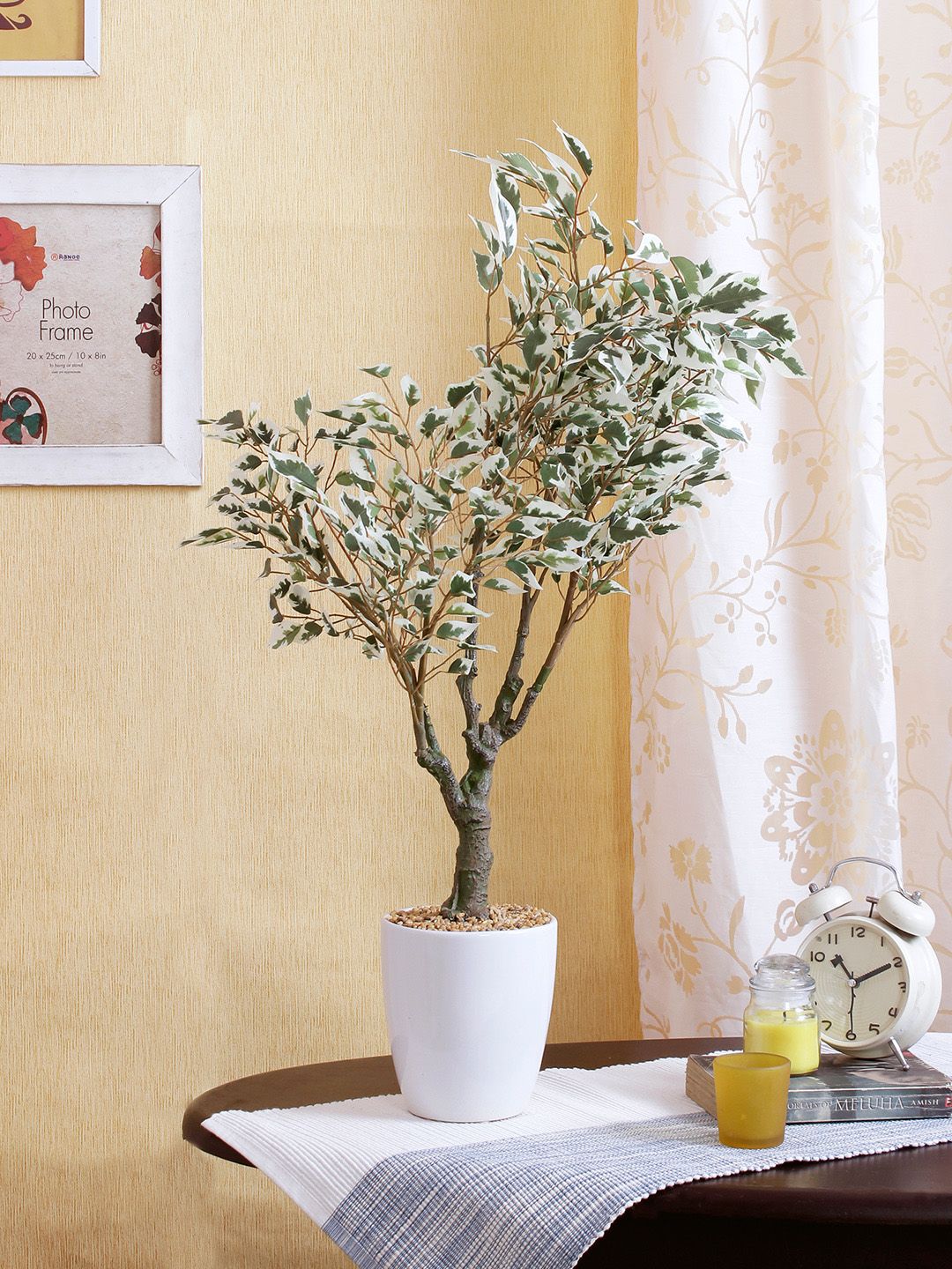 Fourwalls Green & White Artificial Ficus Plant Price in India