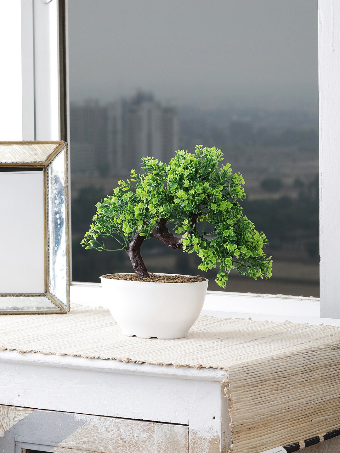 FOLIYAJ Three-Headed Artificial Bonsai Tree with Pot Price in India
