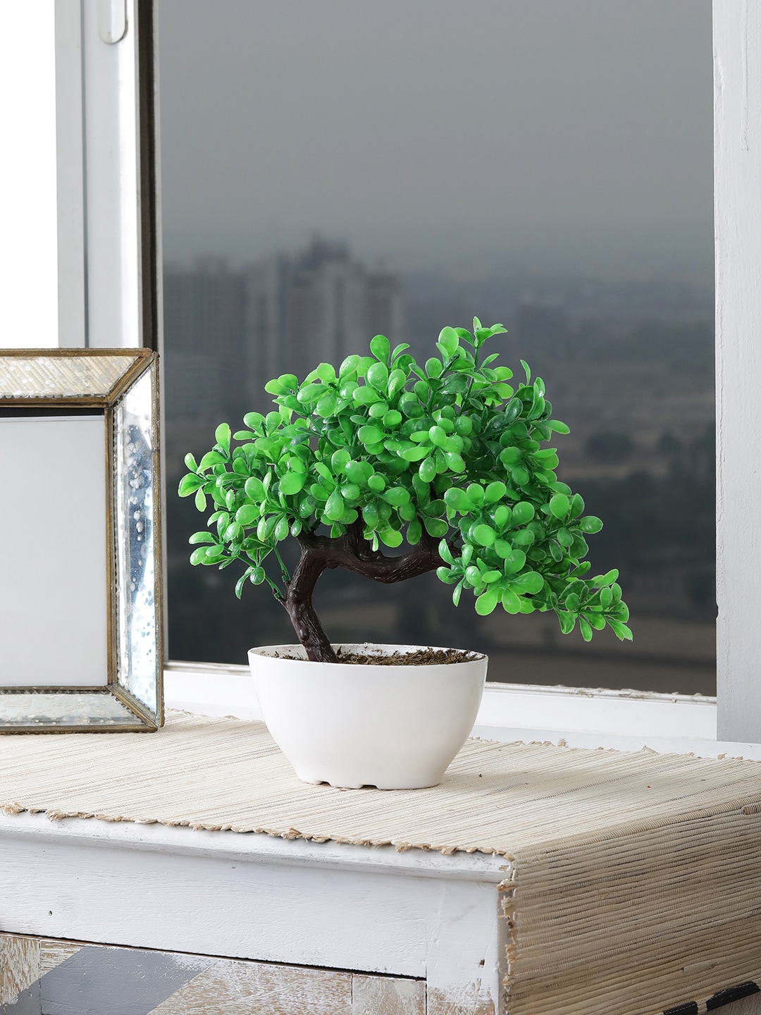 FOLIYAJ Artificial Bonsai Tree with Pot Price in India