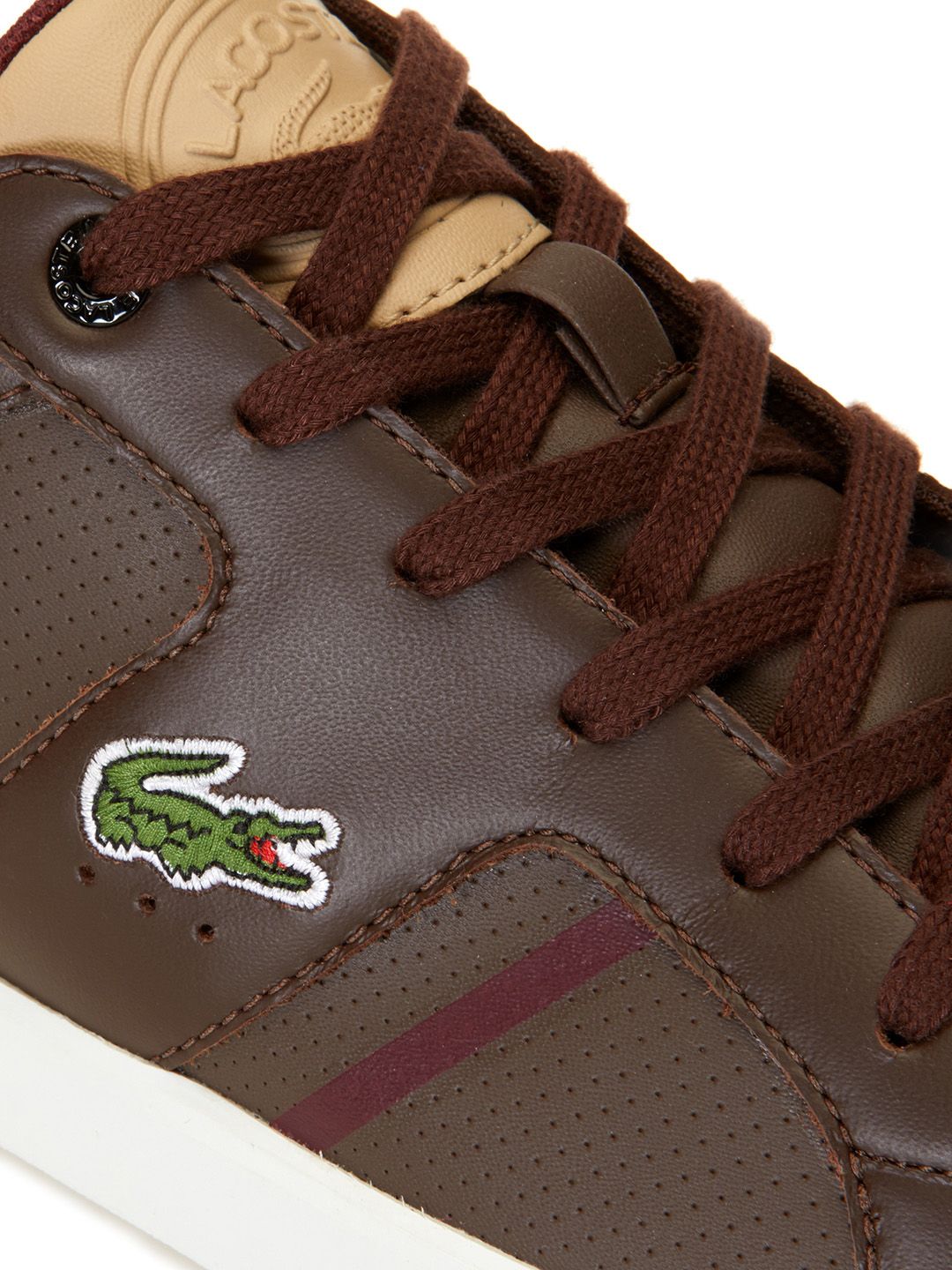 Buy Lacoste Men Brown Leather Sneakers - Casual Shoes for Men