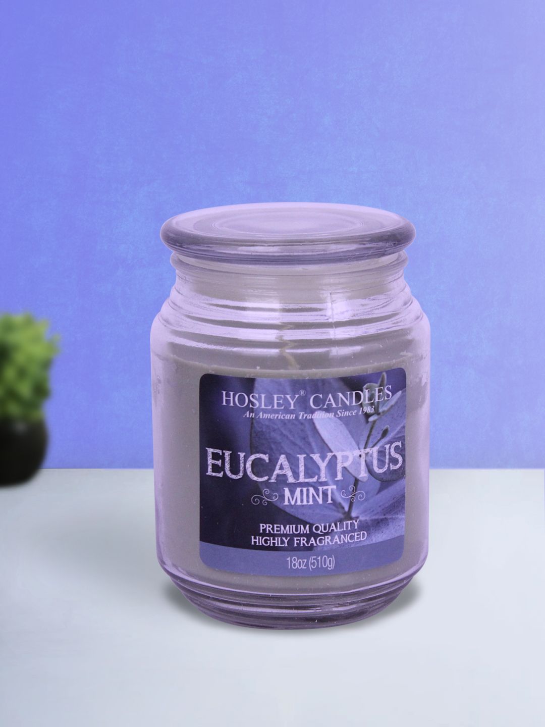 HOSLEY Grey Eucalyptus Mist Scented Wax Jar Candle Price in India