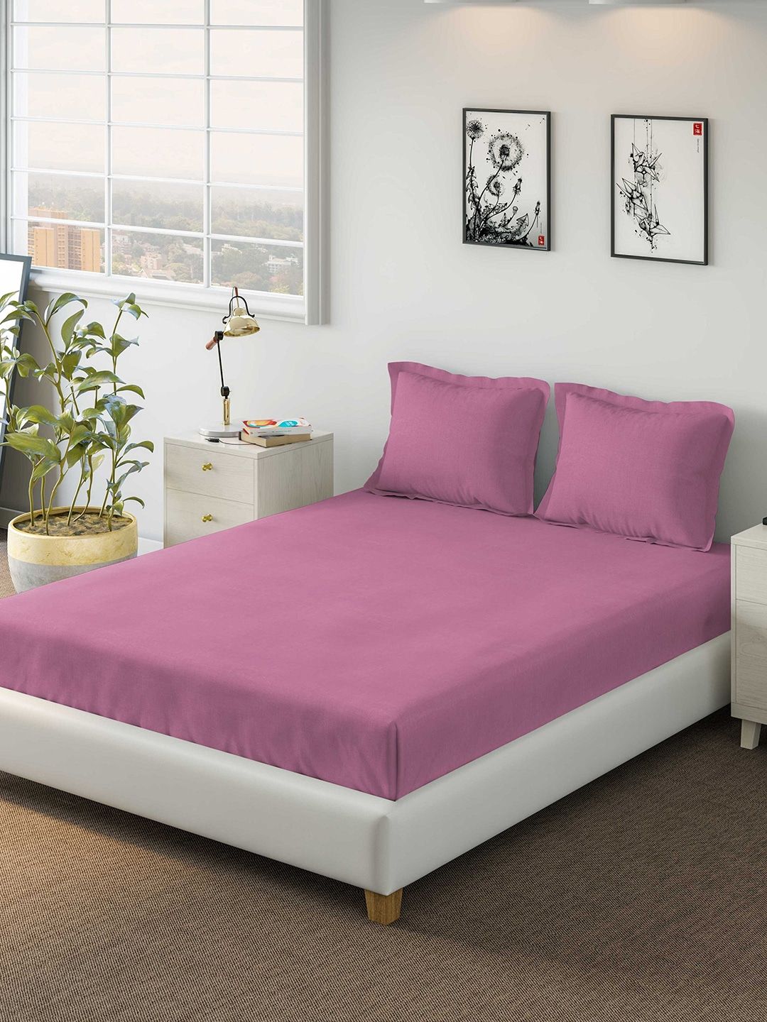 DDecor Pink Solid 150 TC Cotton 1 King Bedsheet with 2 Pillow Covers Price in India