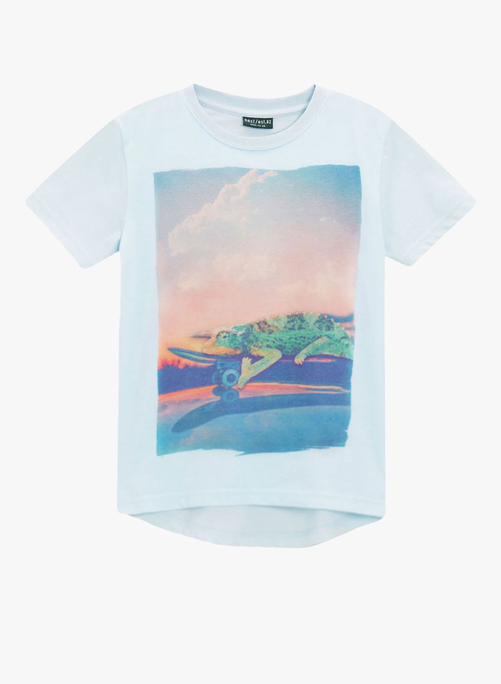 Light Blue Chameleon T-Shirt