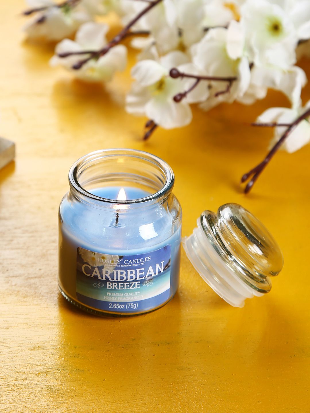 HOSLEY Blue Caribbean Breeze Scented Jar Candle Price in India