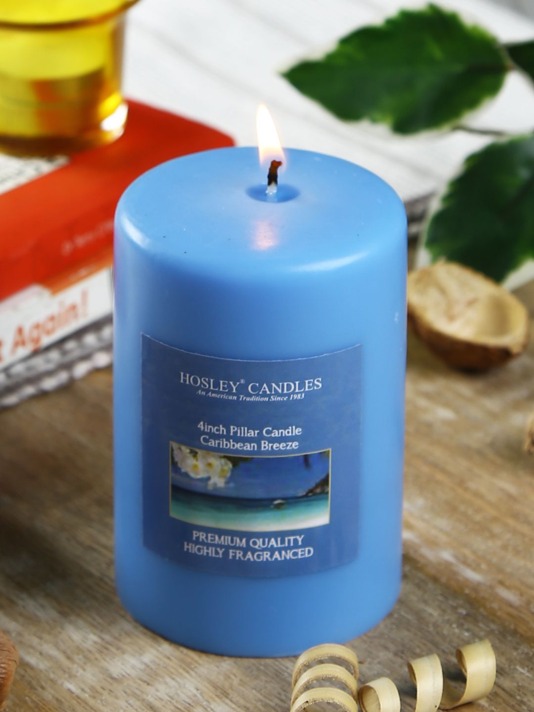 HOSLEY Blue Caribbean Breeze Fragranced Wax Pillar Candle Price in India