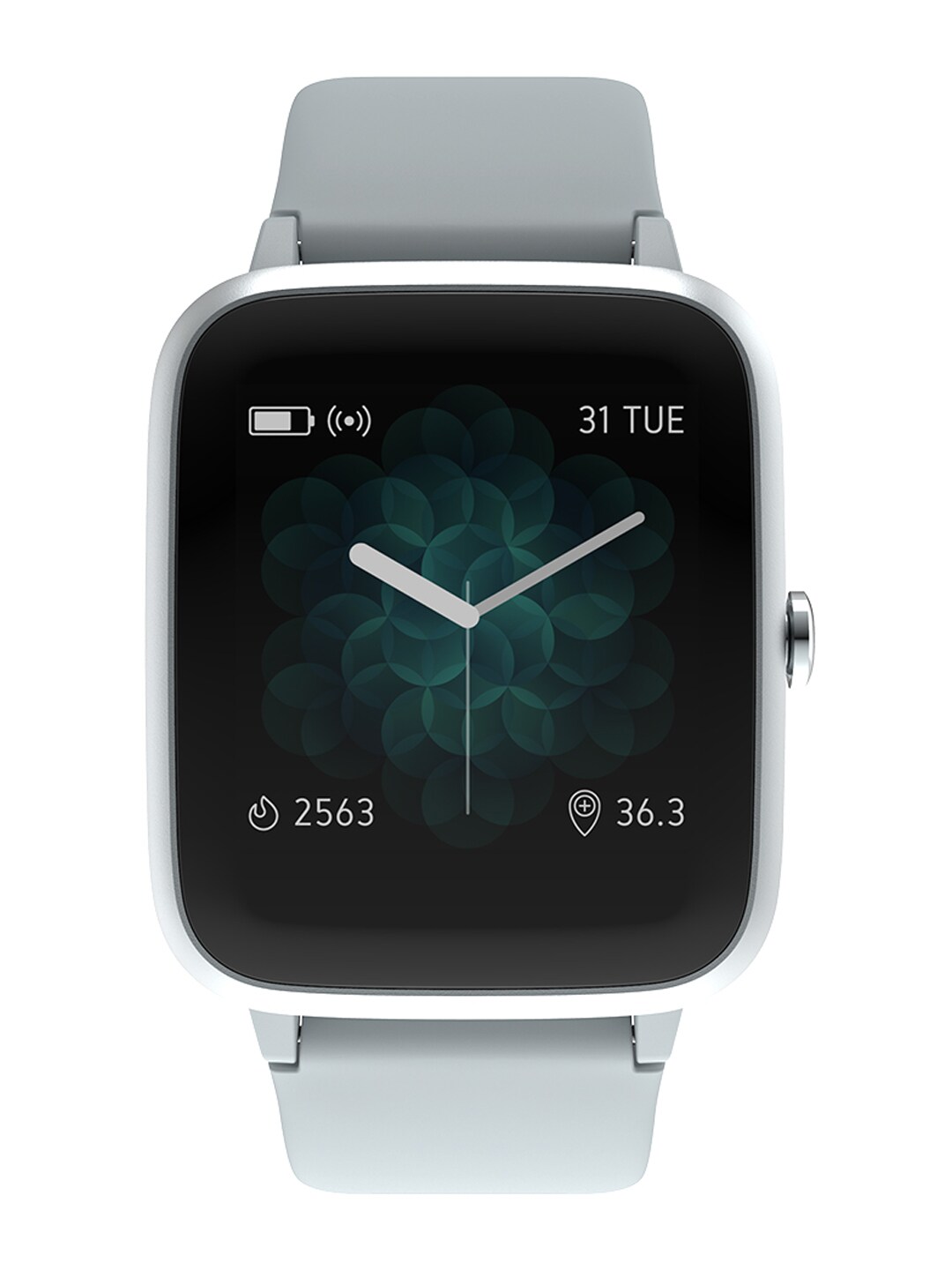 Noise Unisex Mist Grey Colorfit Pro 2 Smartwatch Price in India
