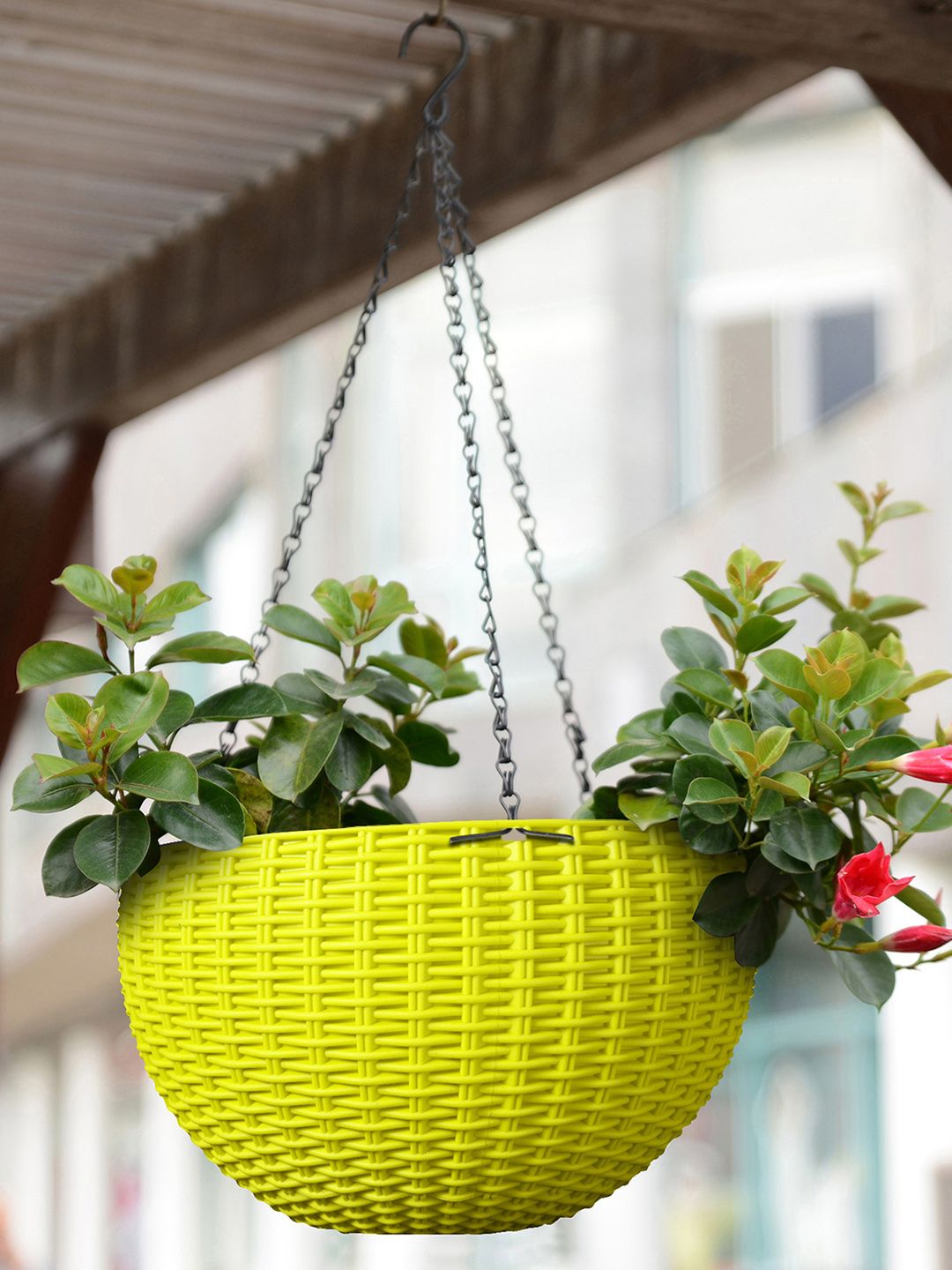 Story@home Green Round Plastic Flower Pot Planter with Chain Price in India