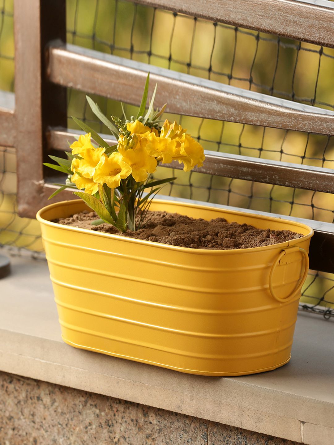 ExclusiveLane Yellow Solid Hand-Painted Glossy Floor Cum Table Planter Price in India