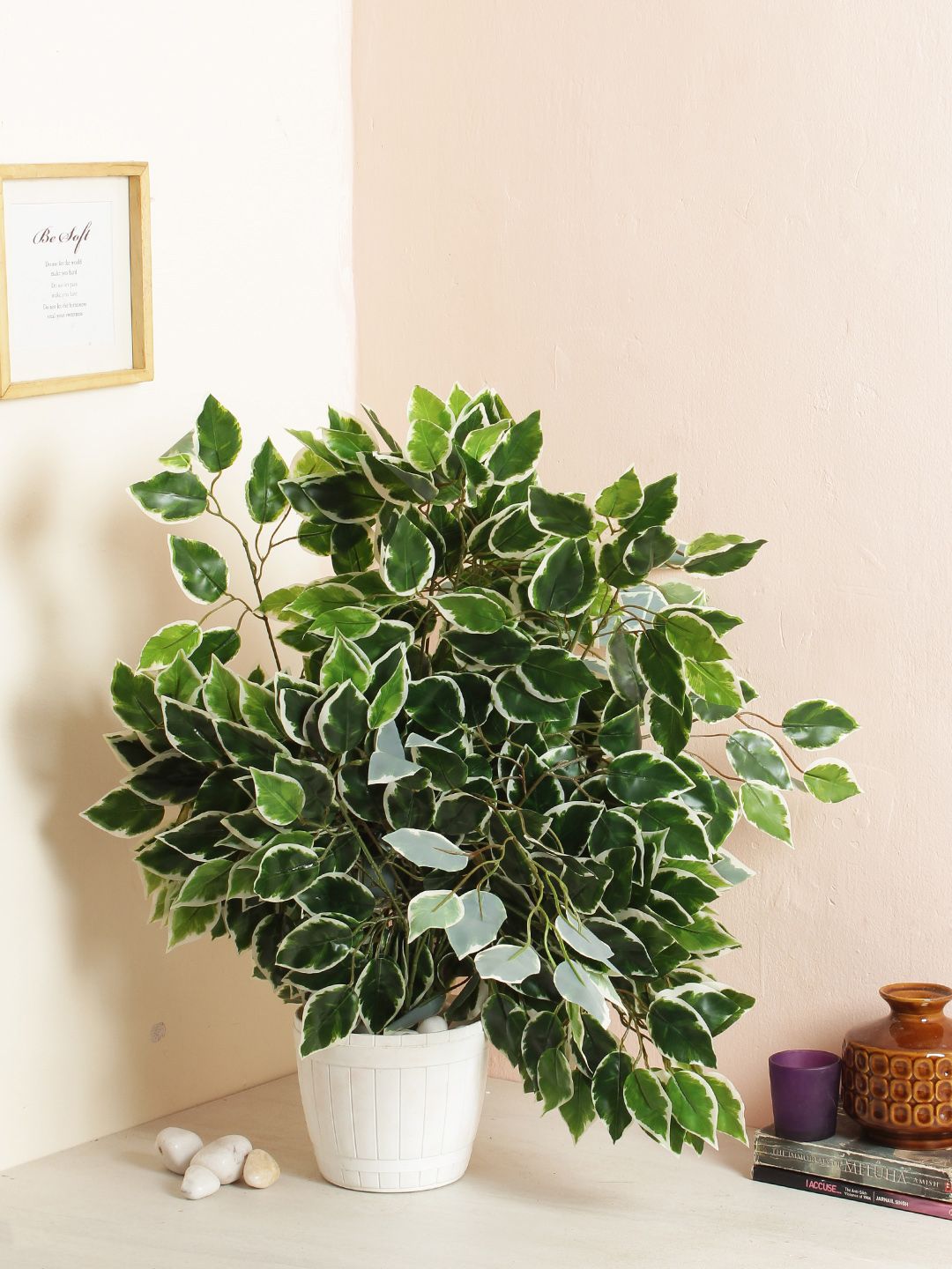 Fourwalls Set of 12 White & Green Artificial Ficus Plants Price in India