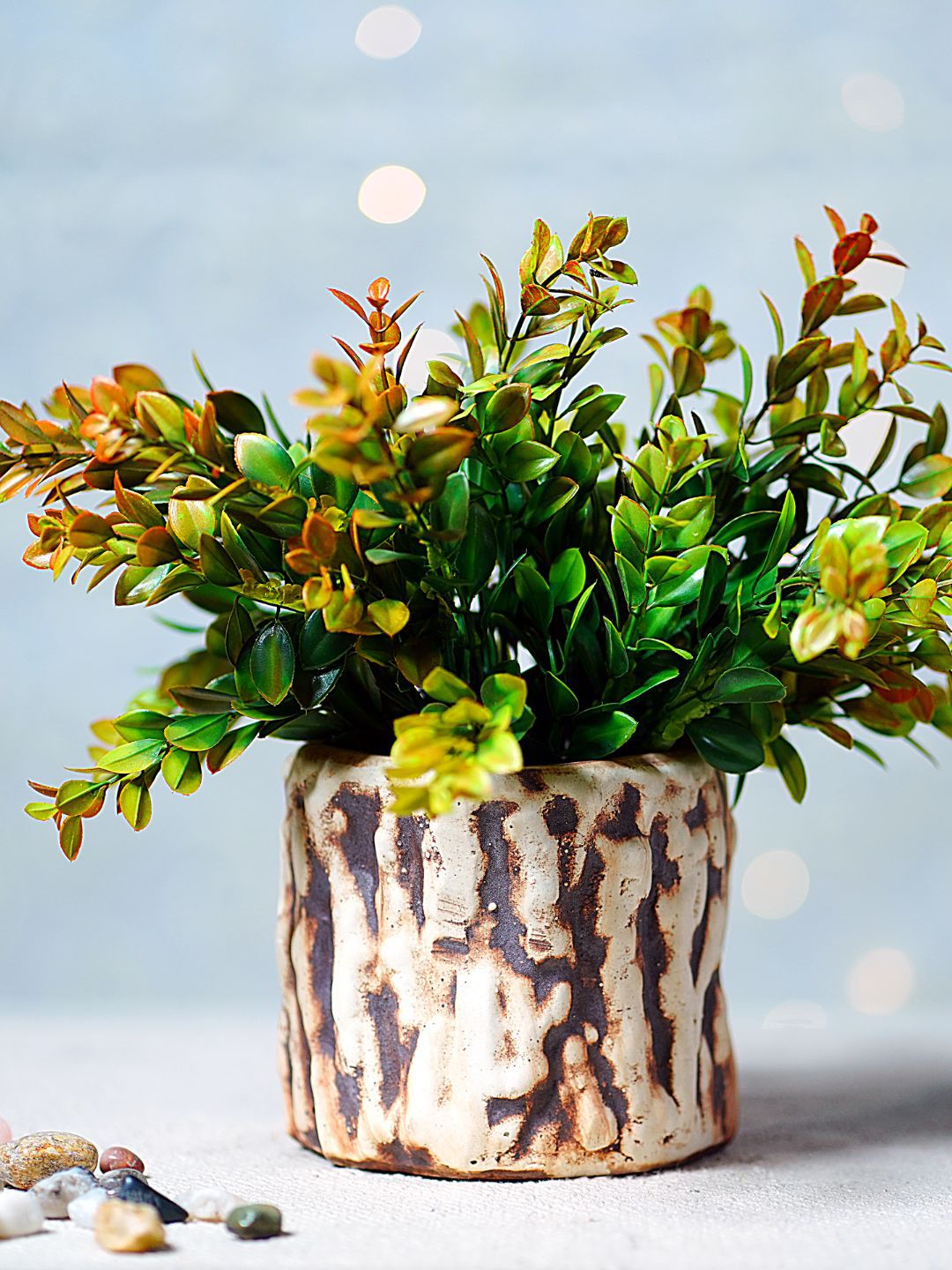 Unravel India Brown Ceramic Cylindrical Table Top Planter Price in India