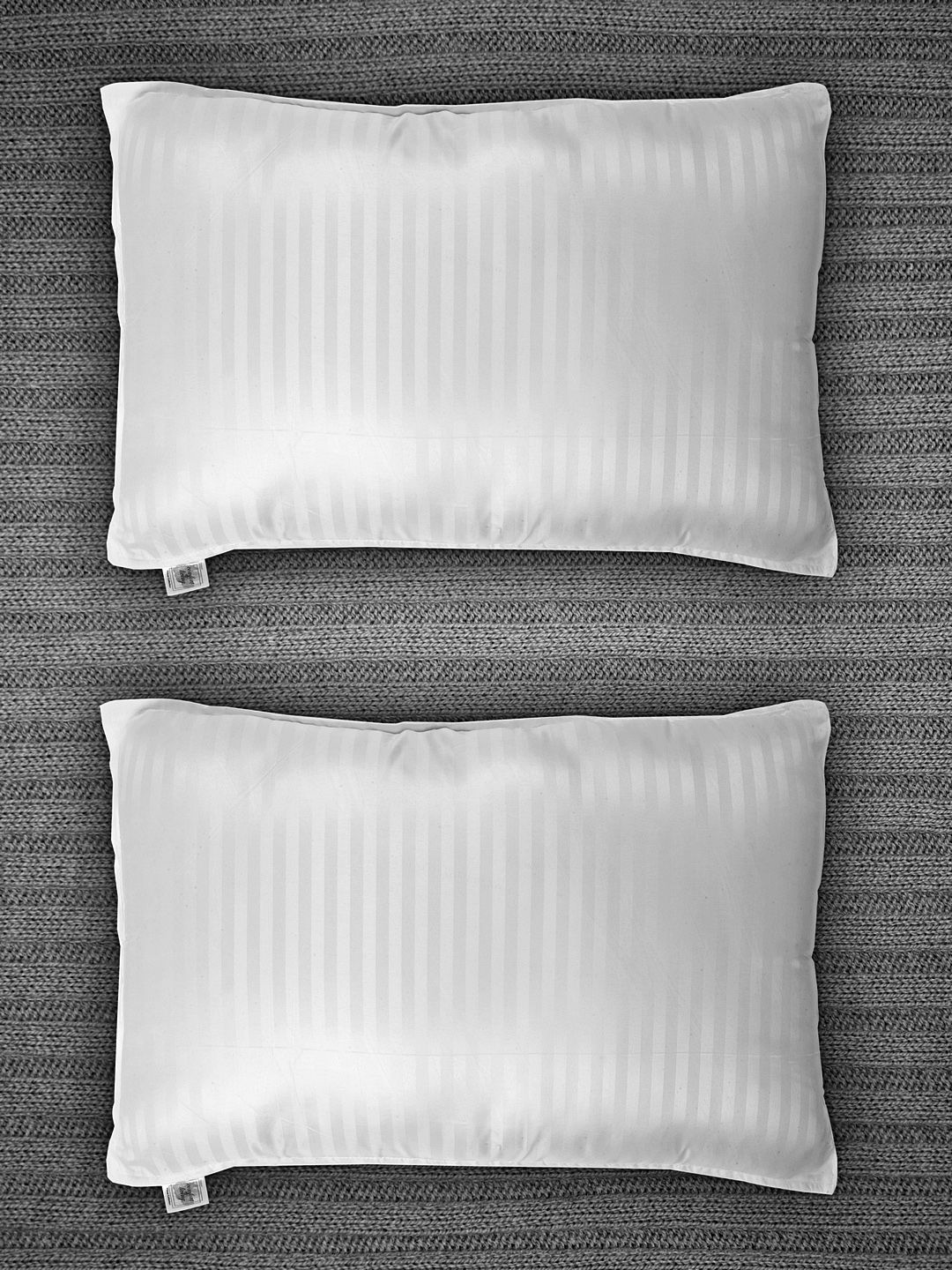 Trident Unisex Set of 2 White Striped Pillows Price in India