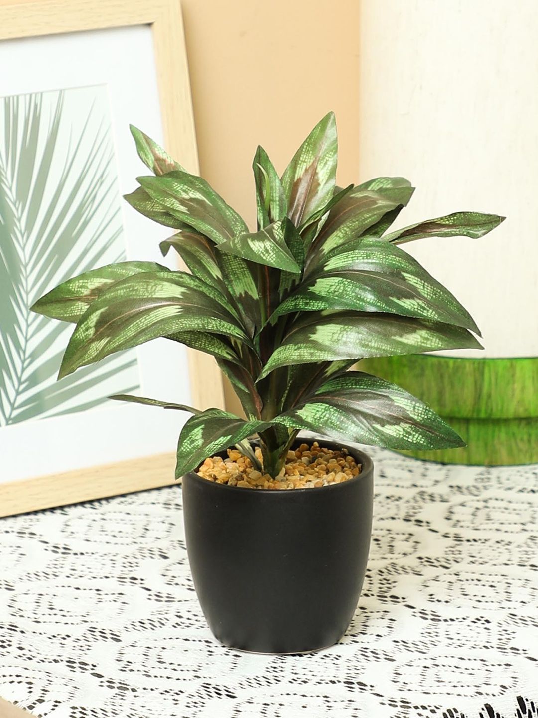 PolliNation Brown  Green Artificial Dracaena Bonsai With Pot Price in India