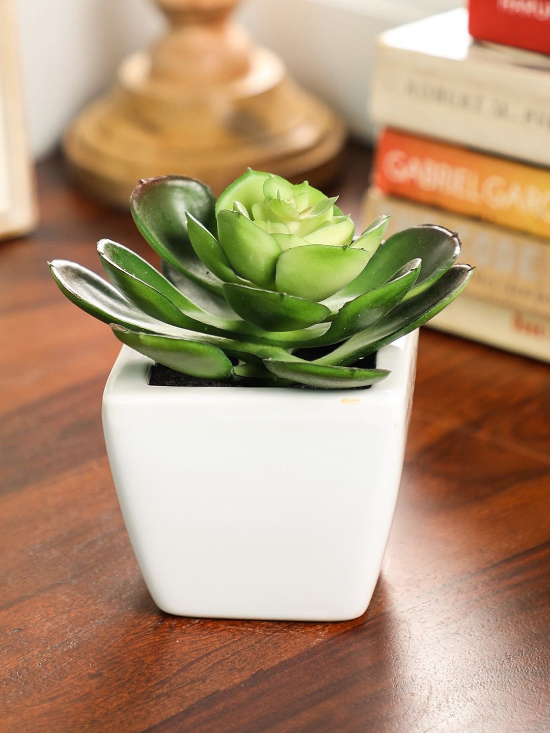 PolliNation Green Artificial Succulent Plant With Ceramic Pot Price in India