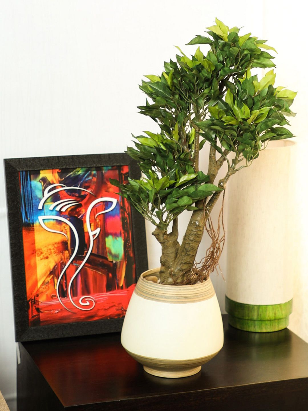 PolliNation Green Artificial Ficus Plant Price in India