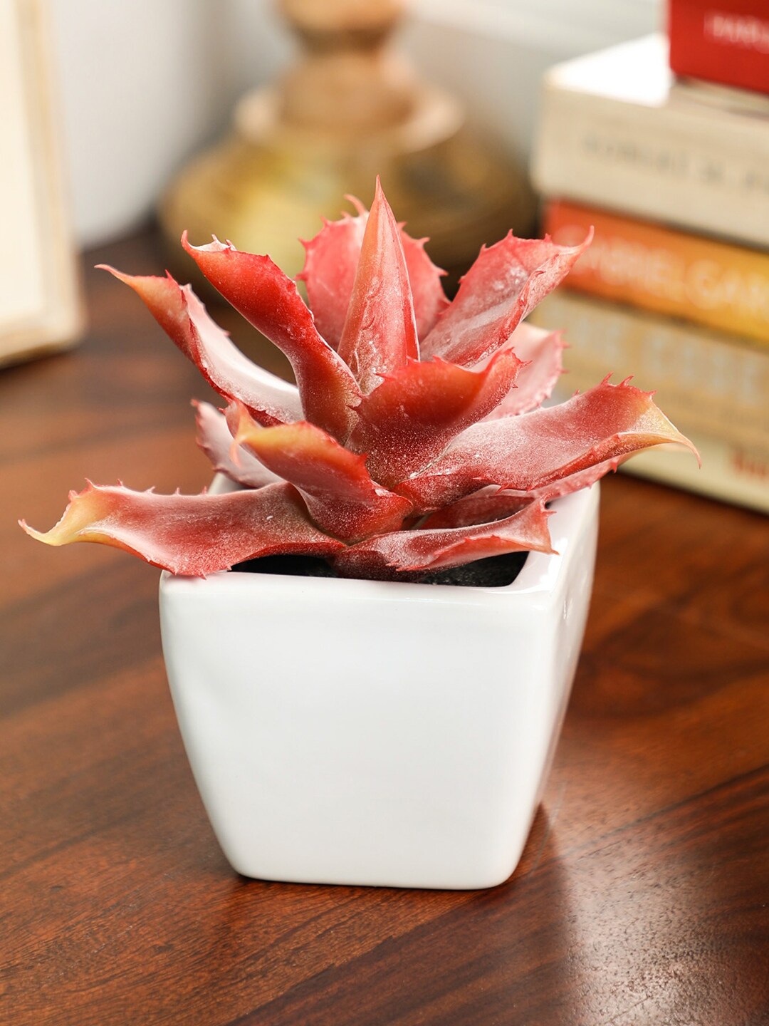 PolliNation Red Artificial Succulent Plant With White Ceramic Pot Price in India