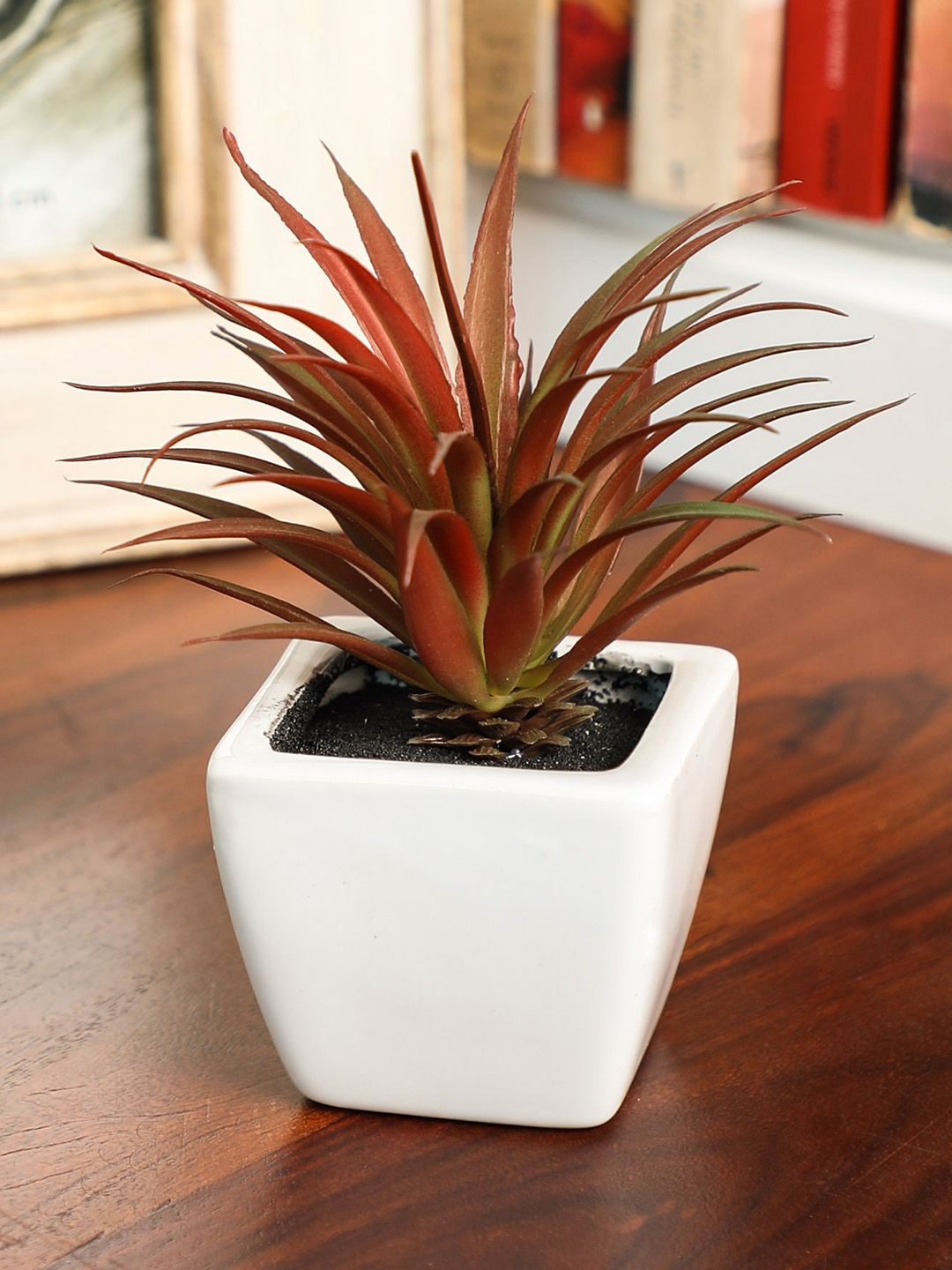 PolliNation Red Artificial Succulent Plant With Ceramic Pot Price in India