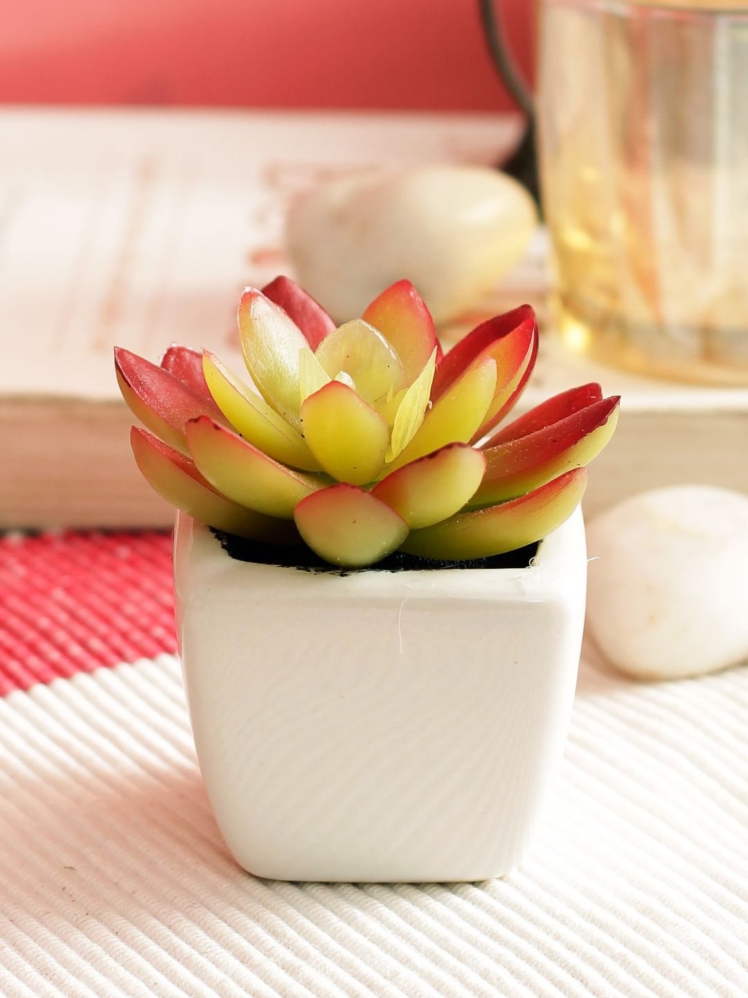 PolliNation Orange Set of 2 Artificial Succulent Plant With White Ceramic Pot Price in India