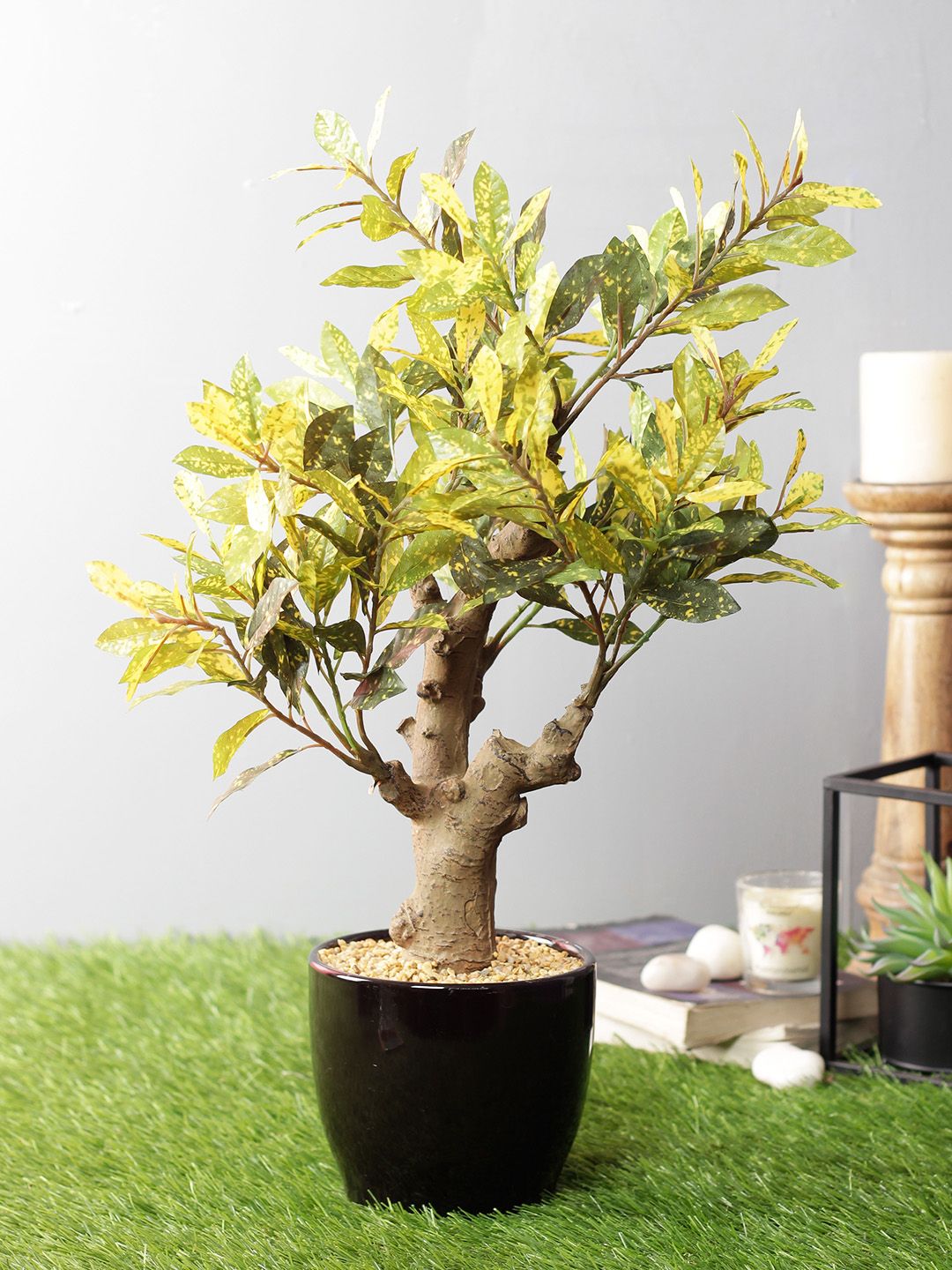 PolliNation Yellow Artificial Croton Bonsai With Black Ceramic Pot Price in India