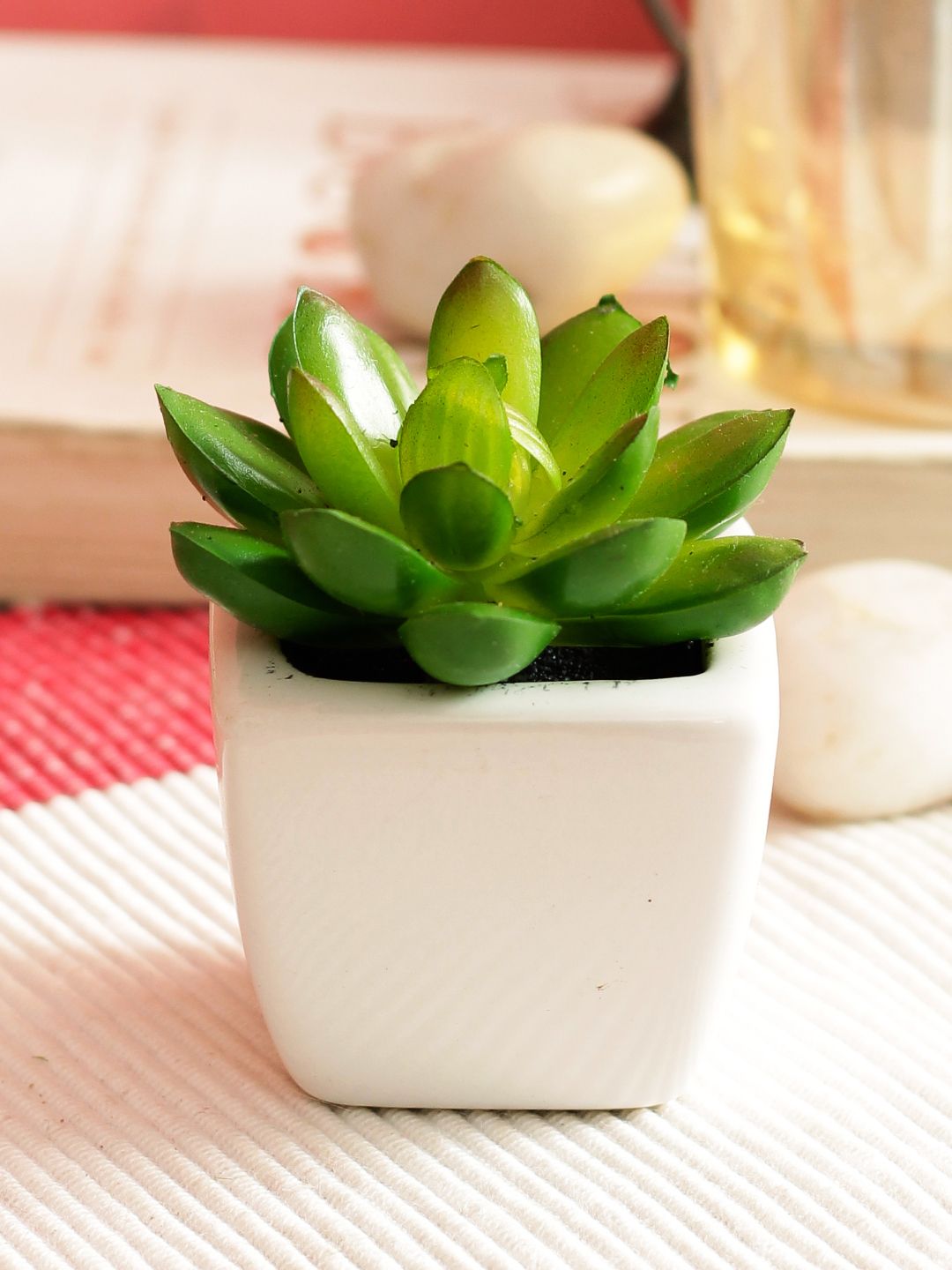 PolliNation Green Set of 2 Artificial Succulent Plant With White Ceramic Pot Price in India