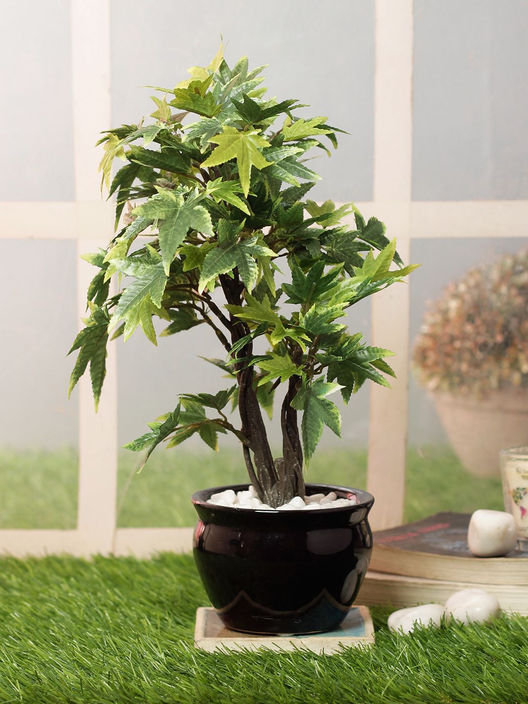 PolliNation Green Artificial Maple Bonsai With Black Pot Price in India