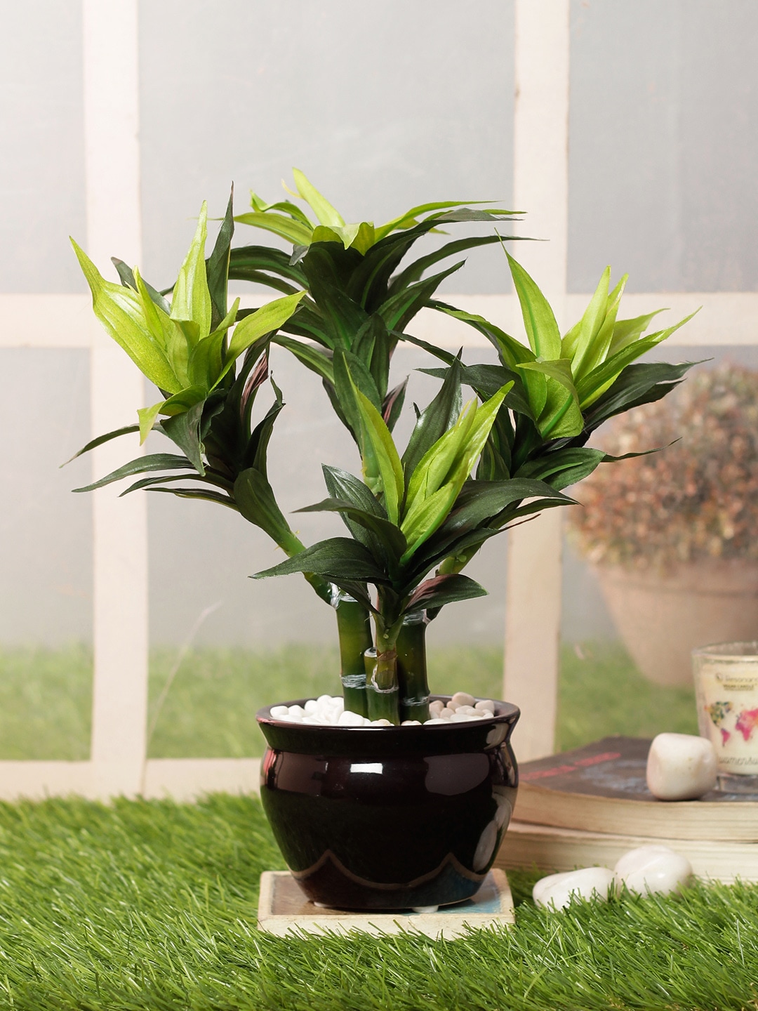PolliNation Green Artificial Dracaena Bonsai With Black Ceramic Pot Price in India