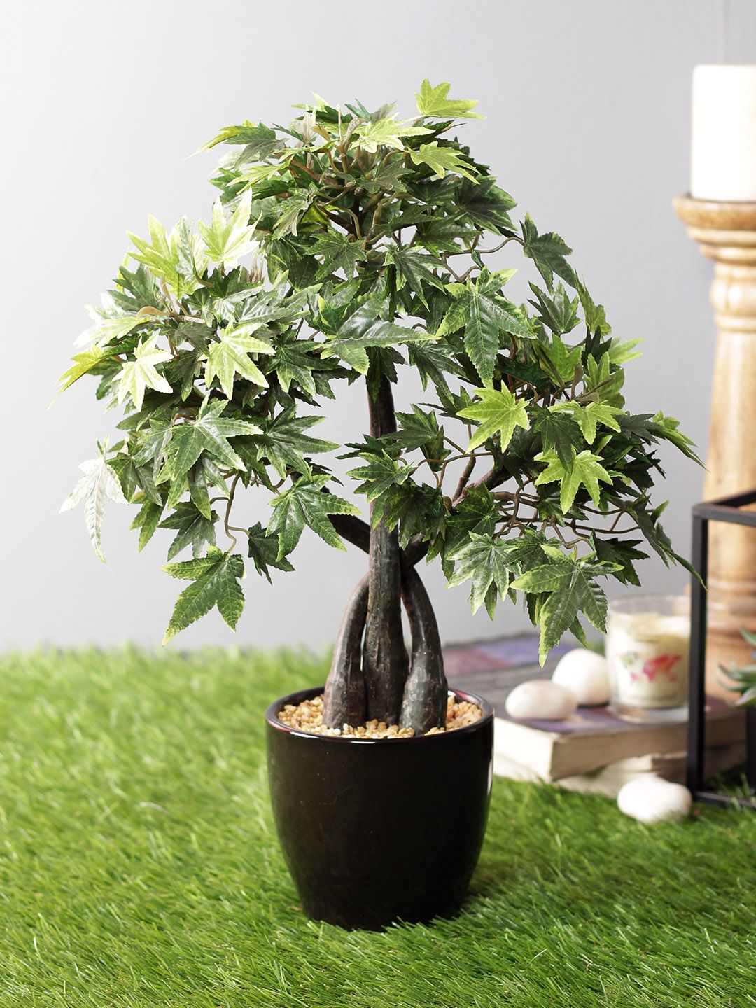 PolliNation Green Artificial Maple Bonsai With Black Ceramic Pot Price in India
