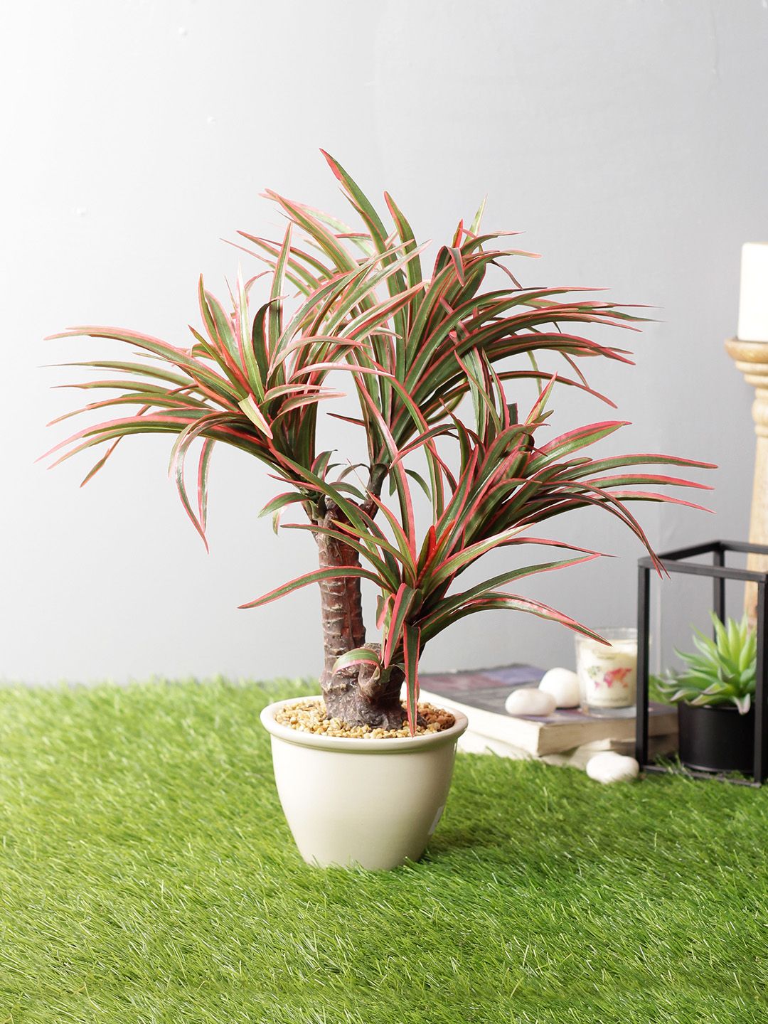 PolliNation Red  Green Artificial Yucca Bonsai With Off-White Ceramic Pot Price in India
