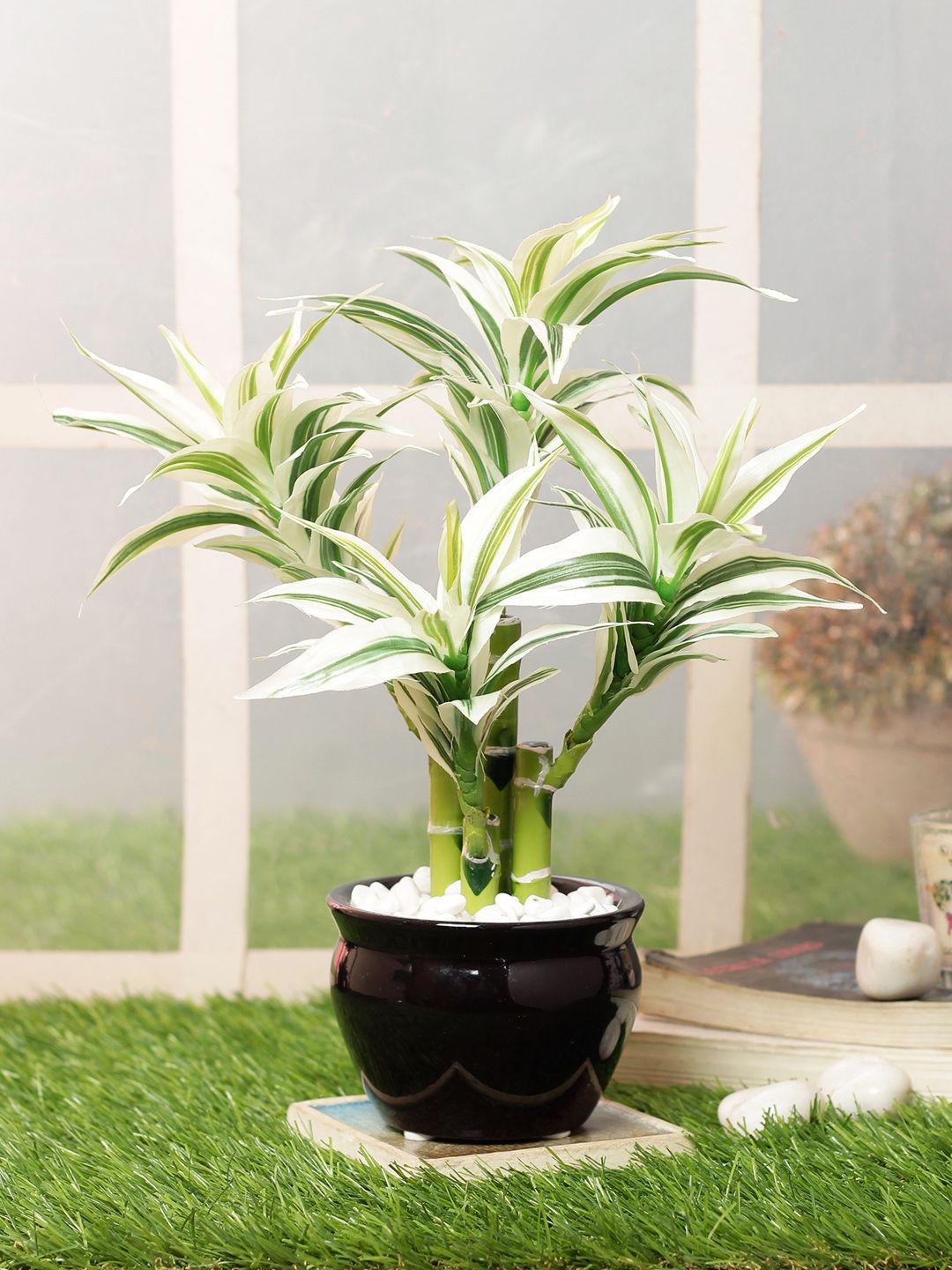 PolliNation White Artificial Dracaena Bonsai With Black Ceramic Pot Price in India